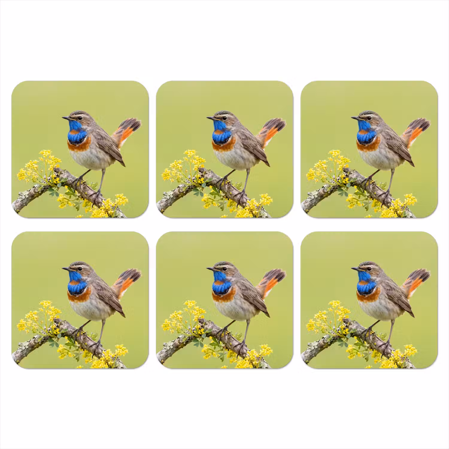 Vogel - Tak - Natuur - Kleurrijk onderzetter kurk middel -3d