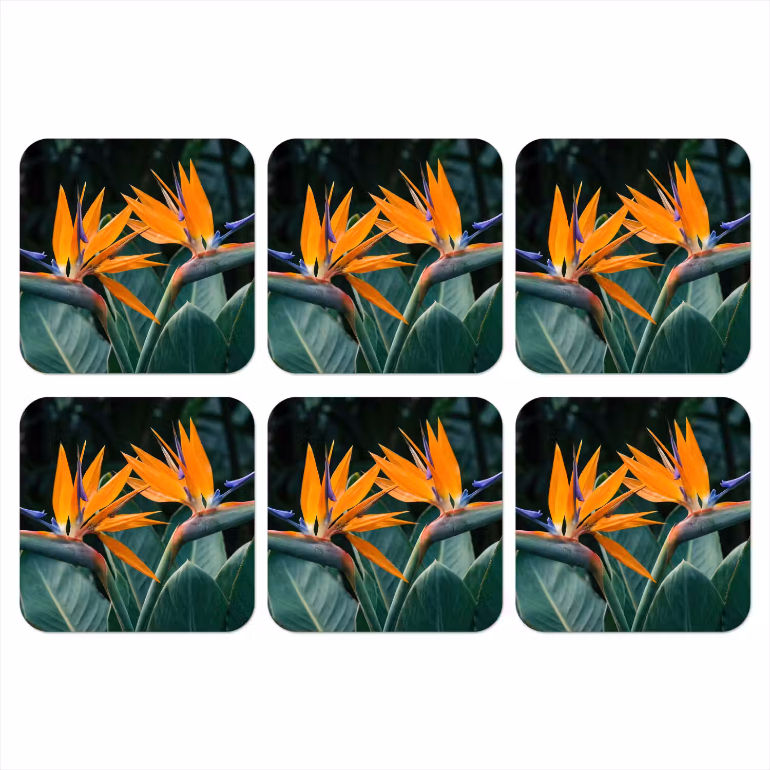 Paradijsvogel - Bloem - Exotisch onderzetter kurk middel -3d