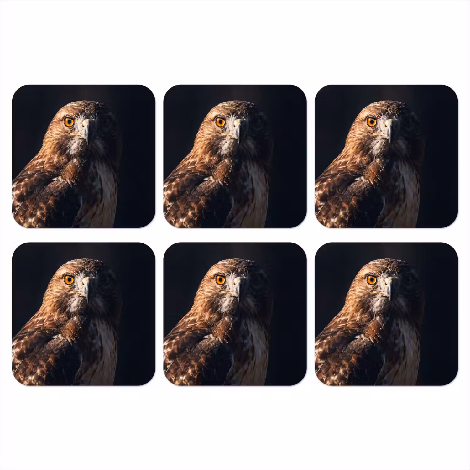 Roofvogel - Buizerd - Bruin onderzetter kurk middel -3d