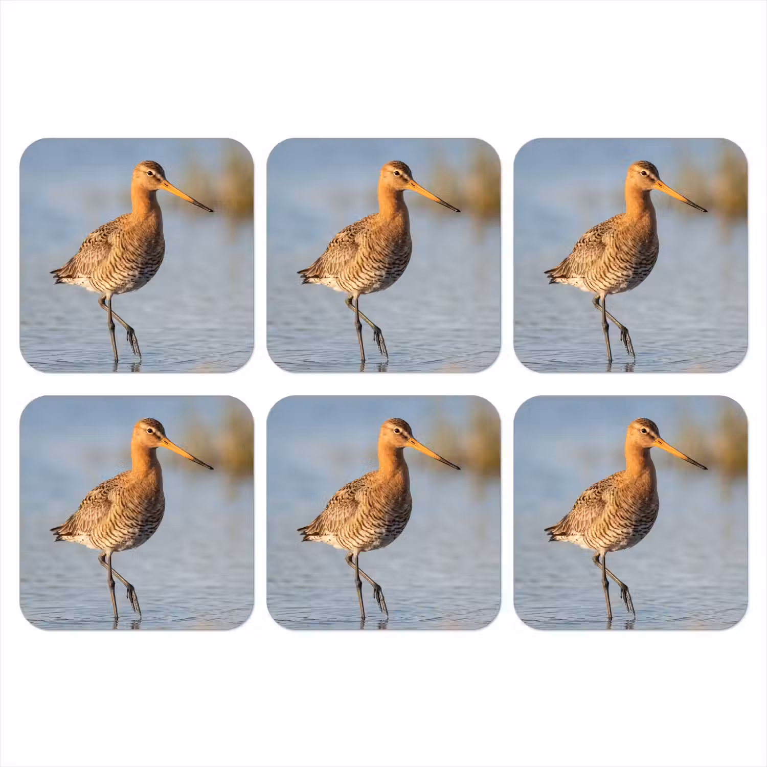 Vogel - Steltloper - Water - Natuur onderzetter kurk middel -3d