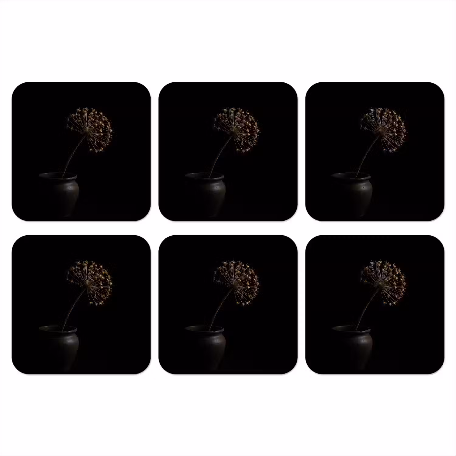 Bol - Gedroogd - Vaas - Zwart onderzetter kurk middel -3d