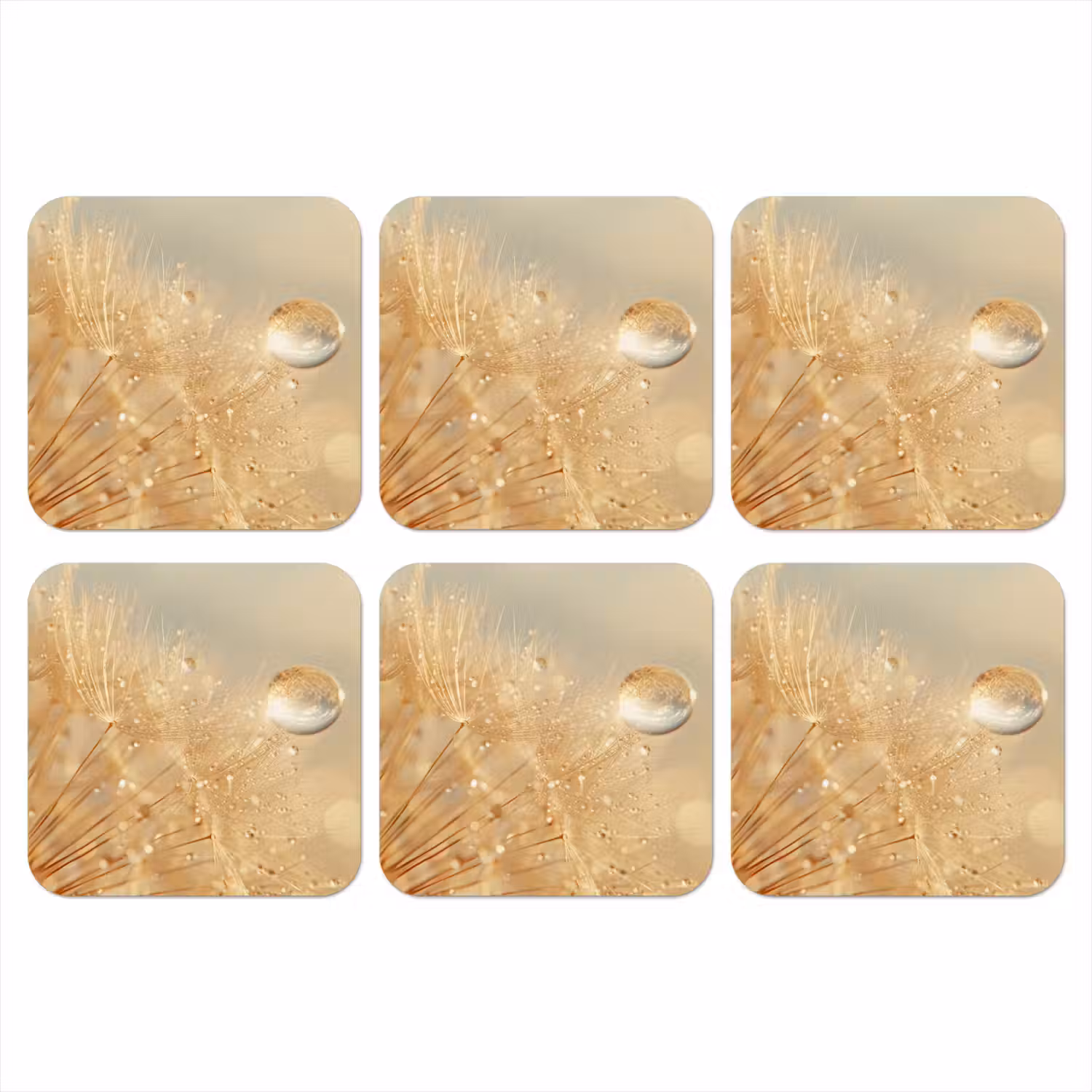 Paardenbloem - Water - Natuur - Planten - Modern onderzetter kurk middel -3d