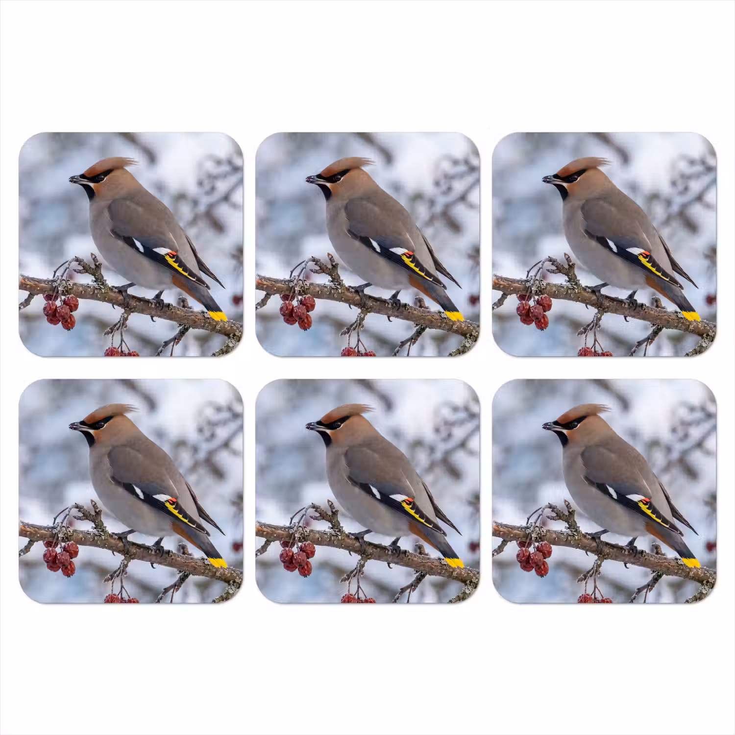 Pestvogel - Bessen - Winter - Natuur onderzetter kurk middel -3d