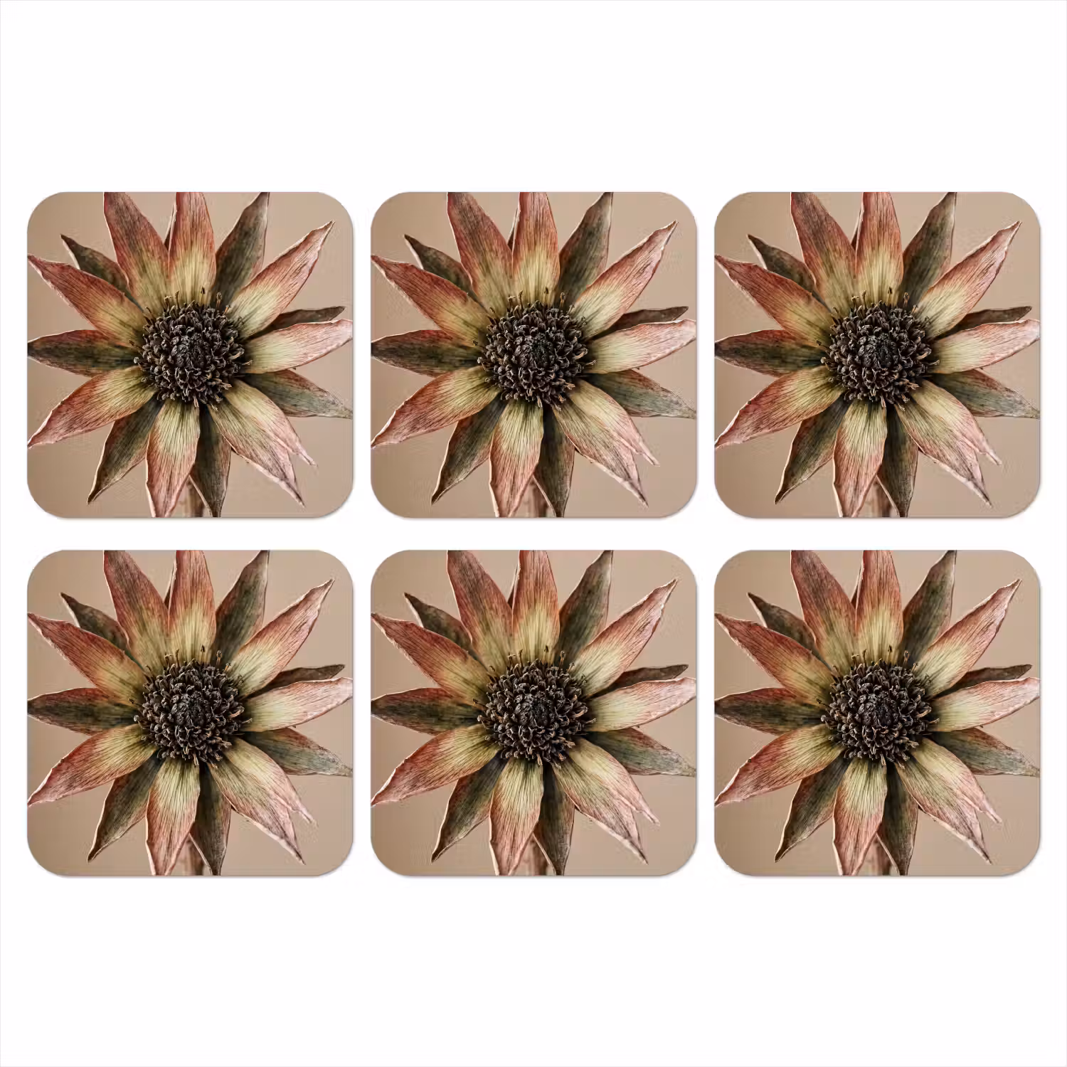 Droogbloem - Protea - Vintage - Beige - Rustiek onderzetter kurk middel -3d