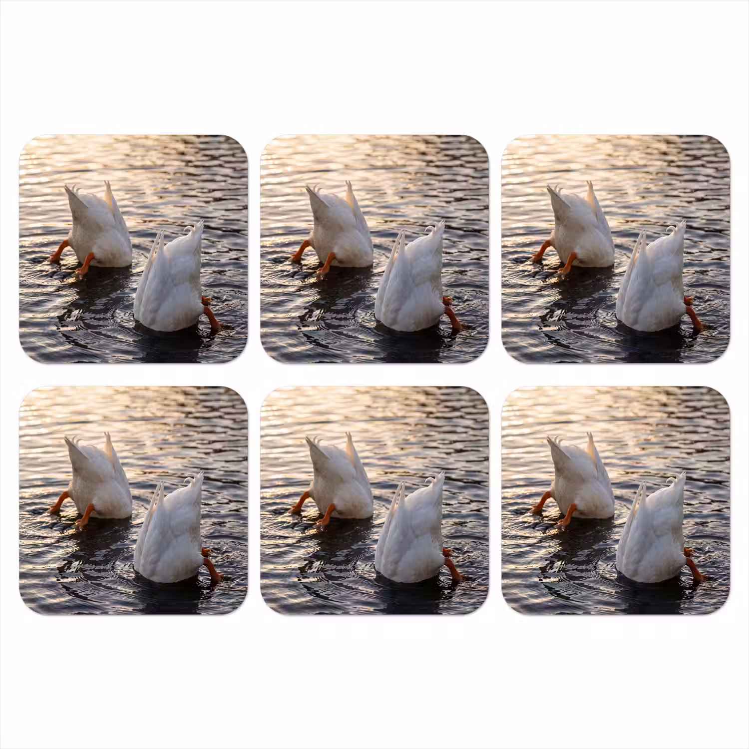 Eenden - Water - Natuur onderzetter kurk middel -3d