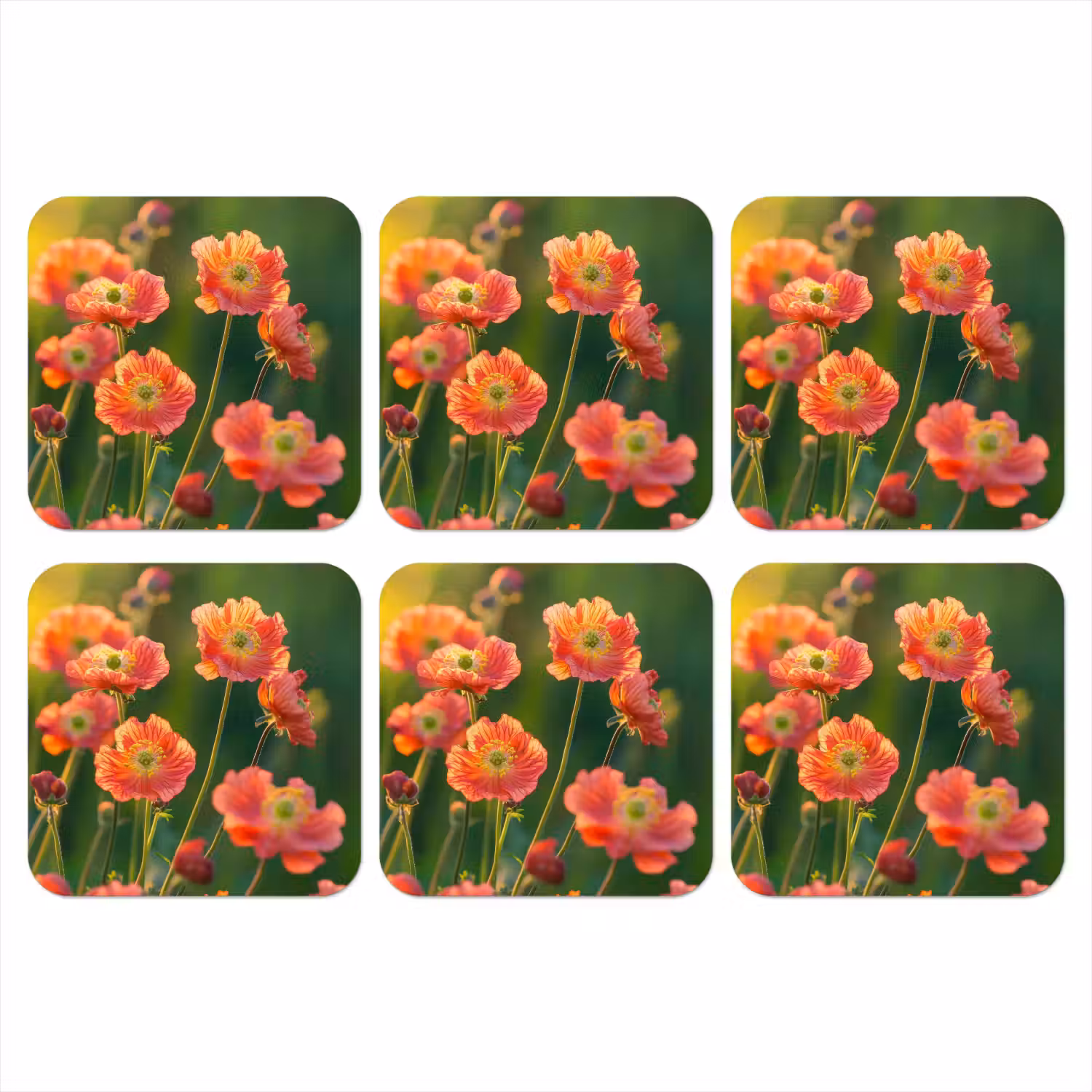 Bloemenveld - Zonnestralen - Oranje onderzetter kurk middel -3d