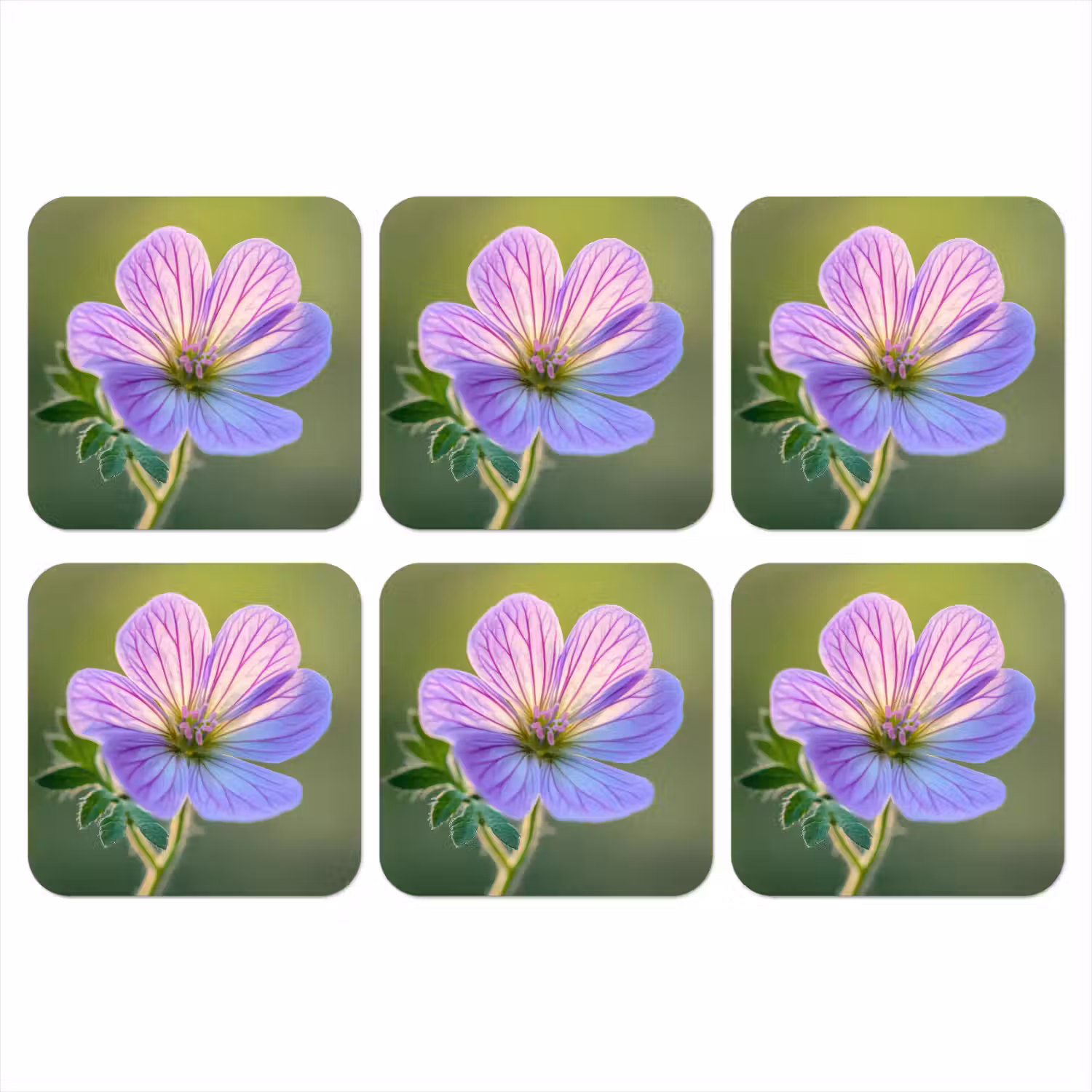 Bloem - Close up - Paars onderzetter kurk middel -3d