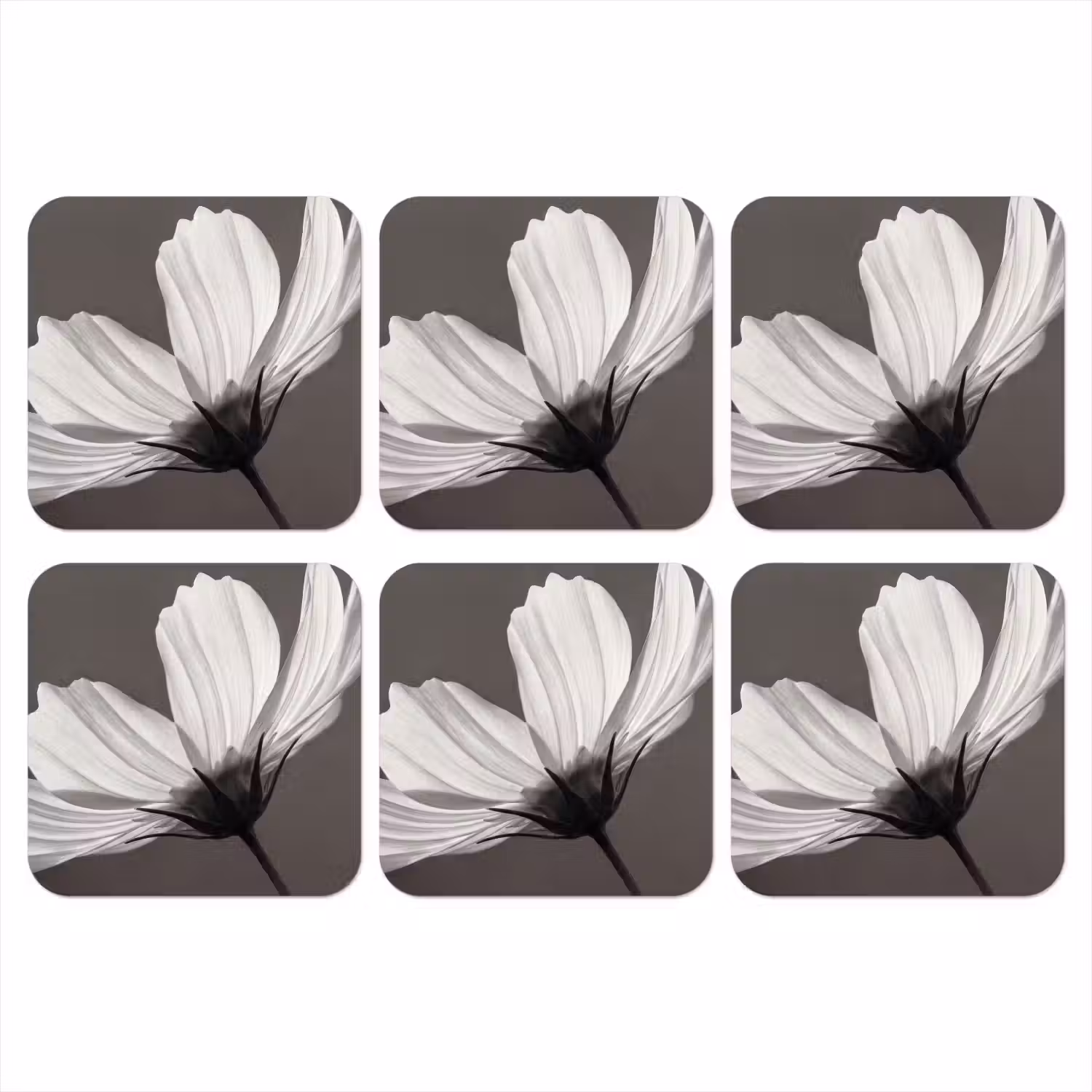 Bloem - Minimalistisch - Zwart - Wit onderzetter kurk middel -3d