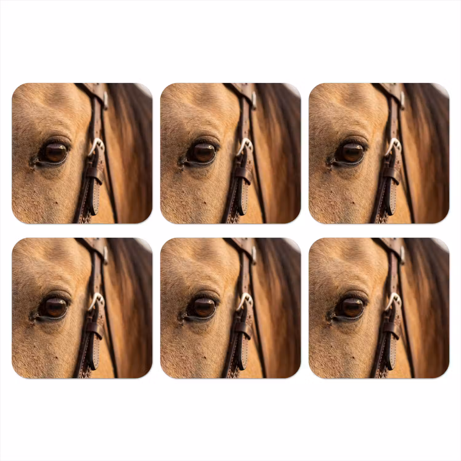 Paard - Oog - Bruin onderzetter kurk middel -3d