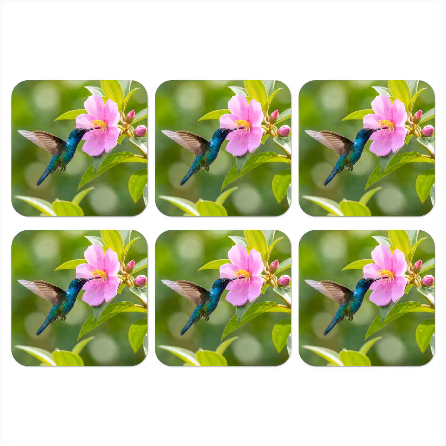 Kolibrie - Bloem - Natuur - Groen onderzetter kurk middel -3d