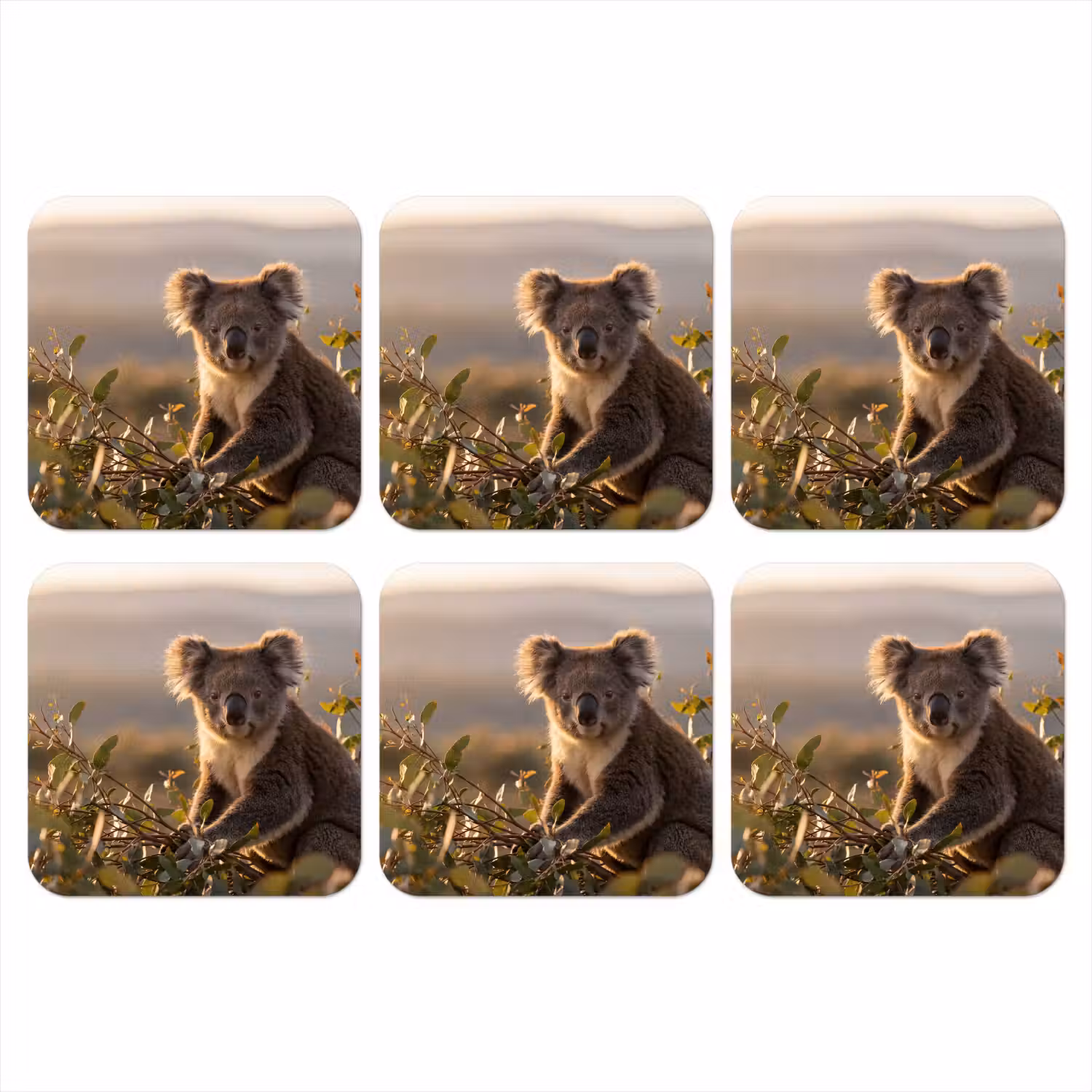 Koala - Bladeren - Ochtendlicht onderzetter kurk middel -3d