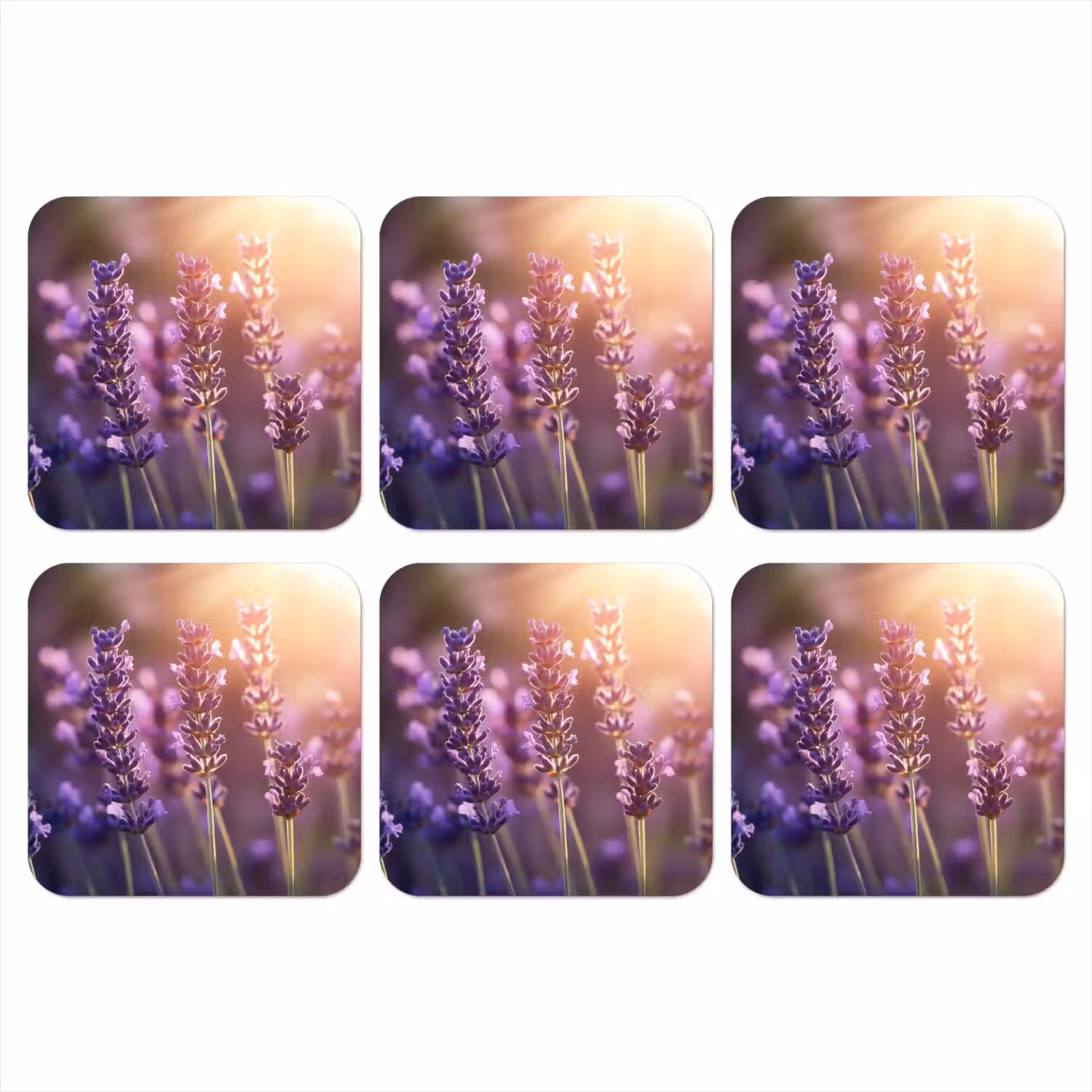 Lavendelbloemen - Paars - Zonlicht onderzetter kurk middel -3d