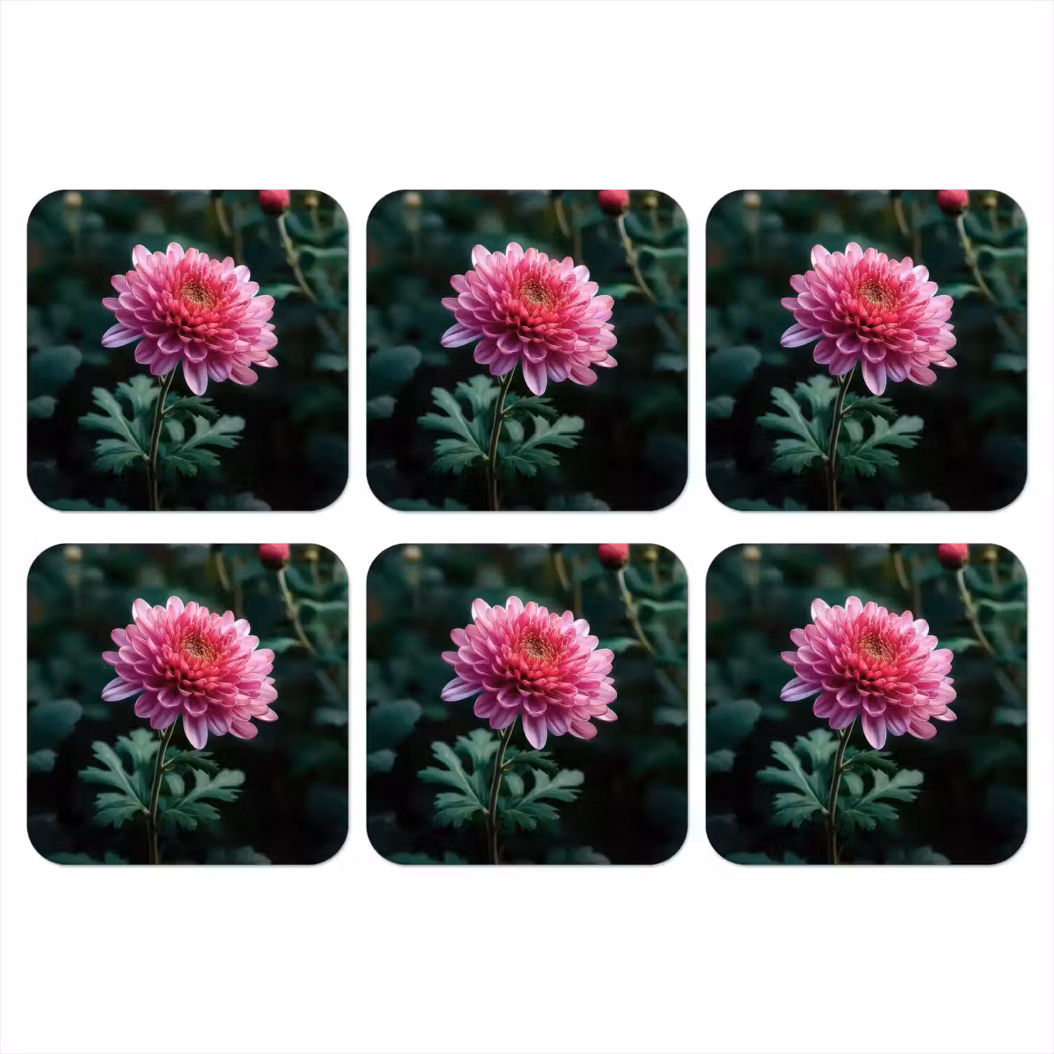 Blad - Chrysant - Roze - Schaduw onderzetter kurk middel -3d