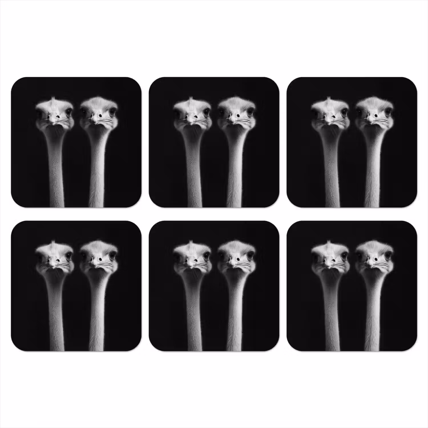 Struisvogels - Halzen - Zwart - Minimalistisch onderzetter kurk middel -3d
