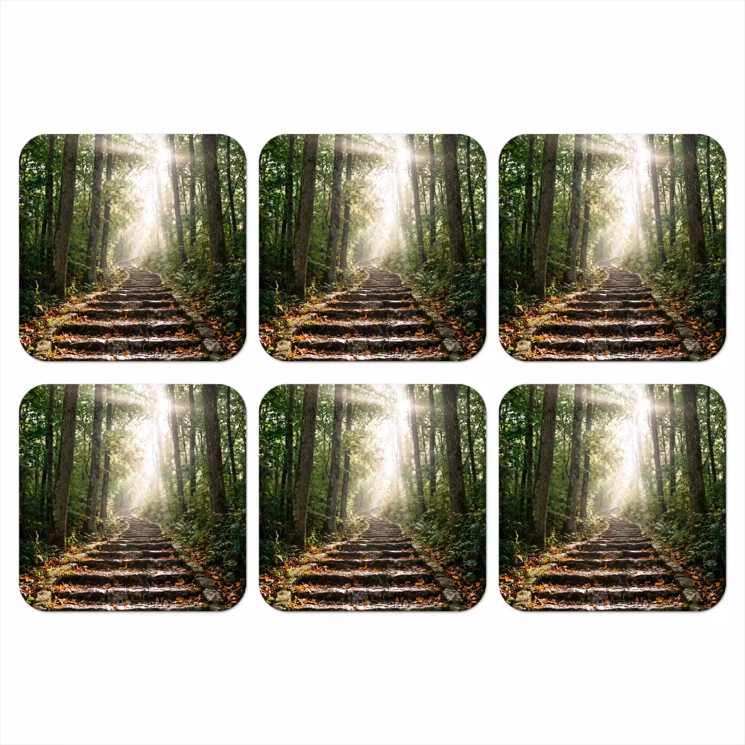 Stenen - Trap - Bos - Natuur onderzetter kurk middel -3d