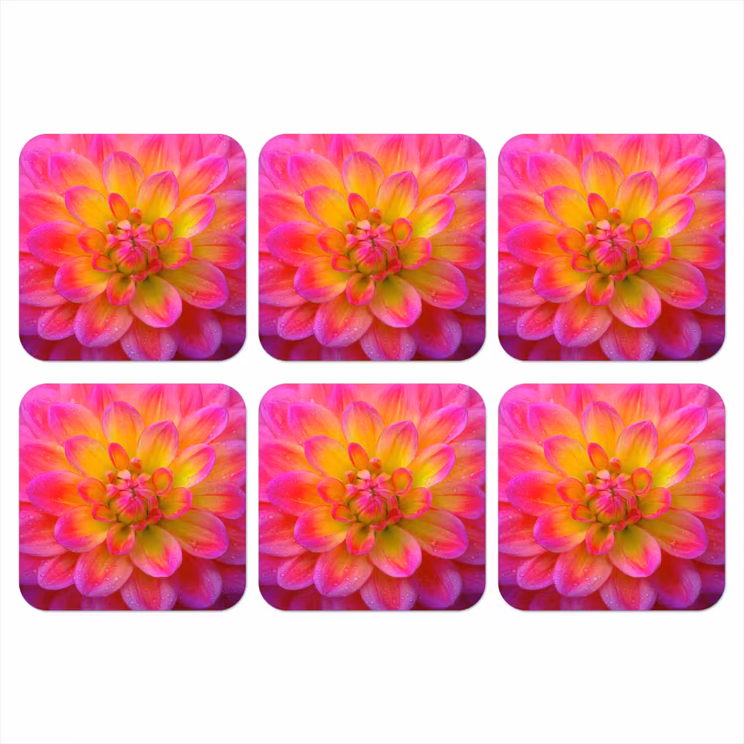 Roze - Dahlia - Kleurrijk onderzetter kurk middel -3d