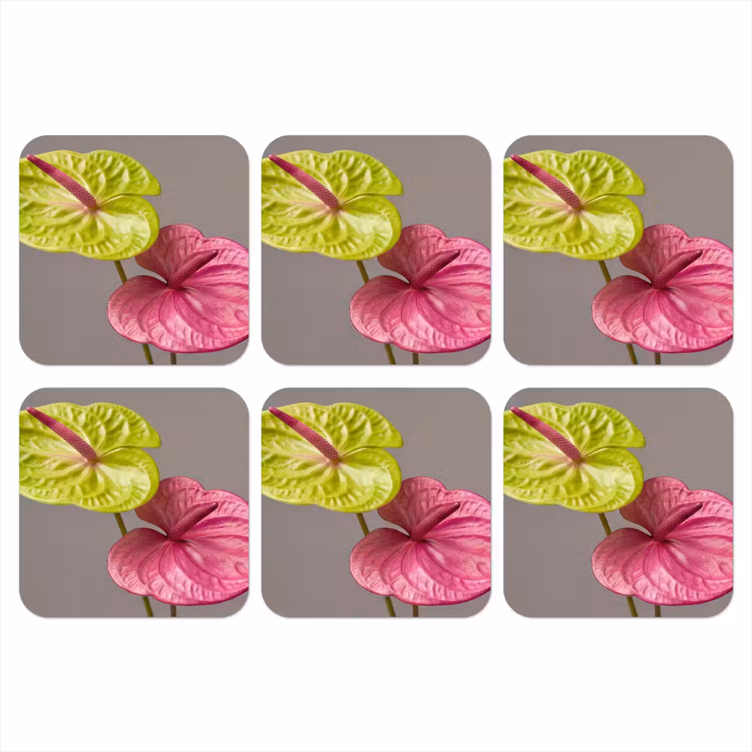Planten - Anthurium - Groen - Roze onderzetter kurk middel -3d
