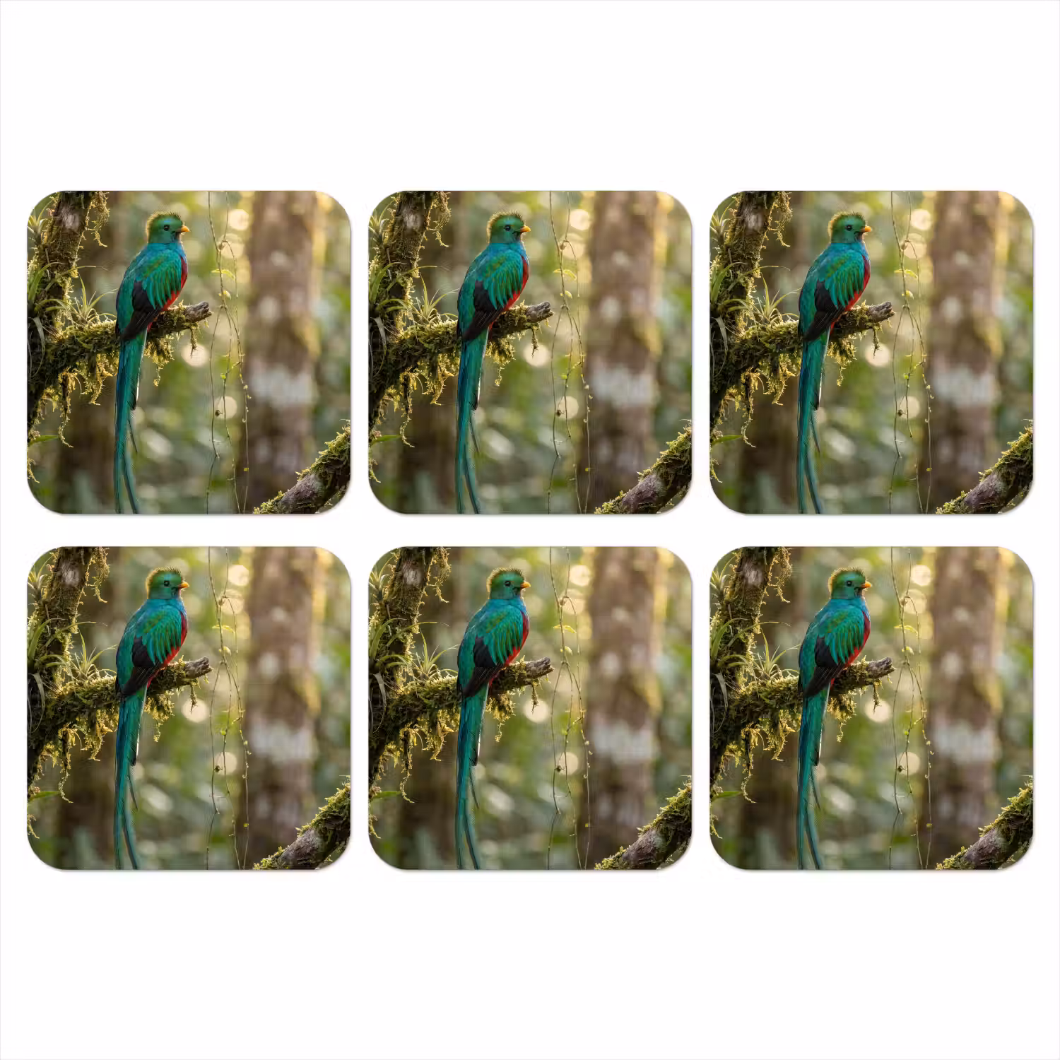Quetzal - Jungle - Natuur - Groen onderzetter kurk middel -3d