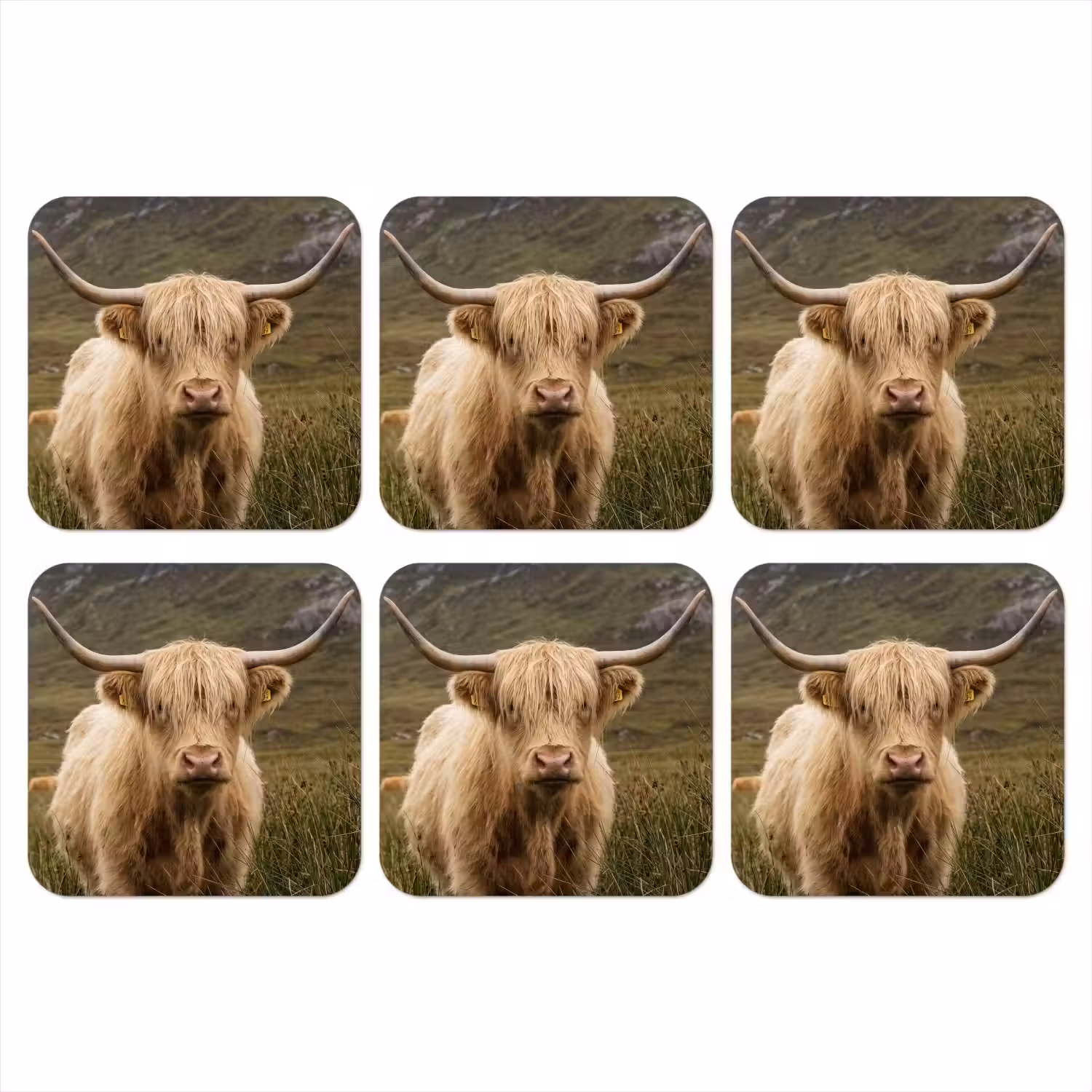 Schotse hooglander - Bergen - Grasveld onderzetter kurk middel -3d