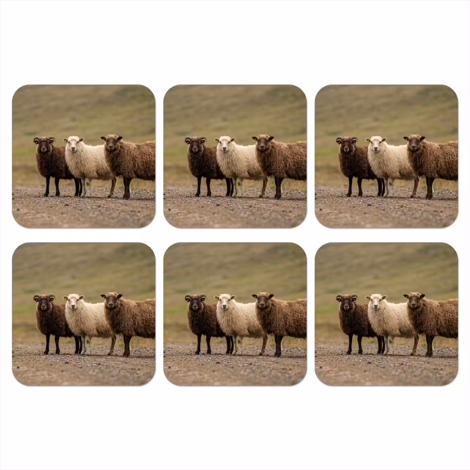 Schapen - Bruin - Wit - Grindpad onderzetter kurk middel -3d
