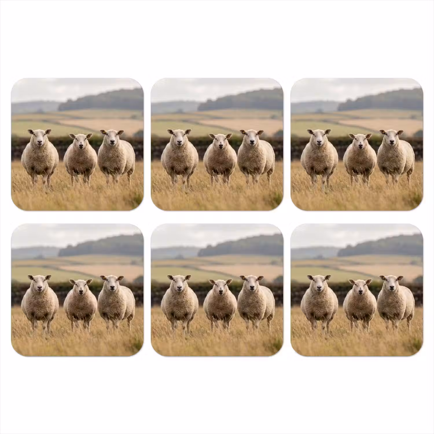 Schapen - Weidenlandschap - Heuvels onderzetter kurk middel -3d