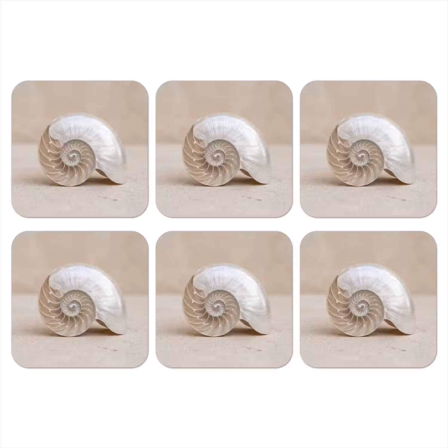 Schelp - Spiraal - Beige onderzetter kurk middel -3d