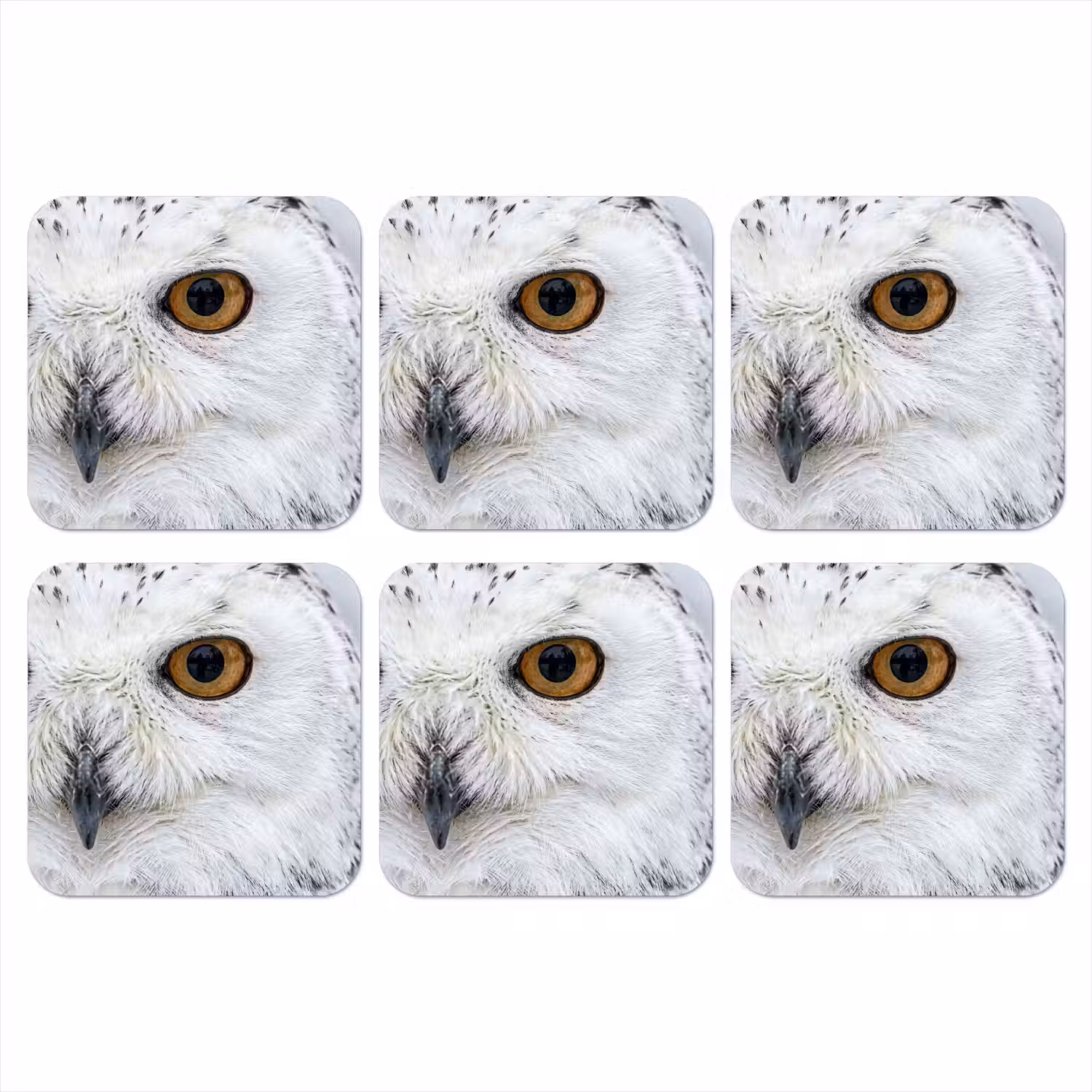Sneeuwuil - Oog - Wildlife - Wit onderzetter kurk middel -3d