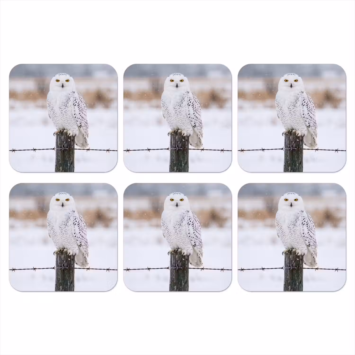Sneeuwuil - Hek - Sneeuw - Wit onderzetter kurk middel -3d