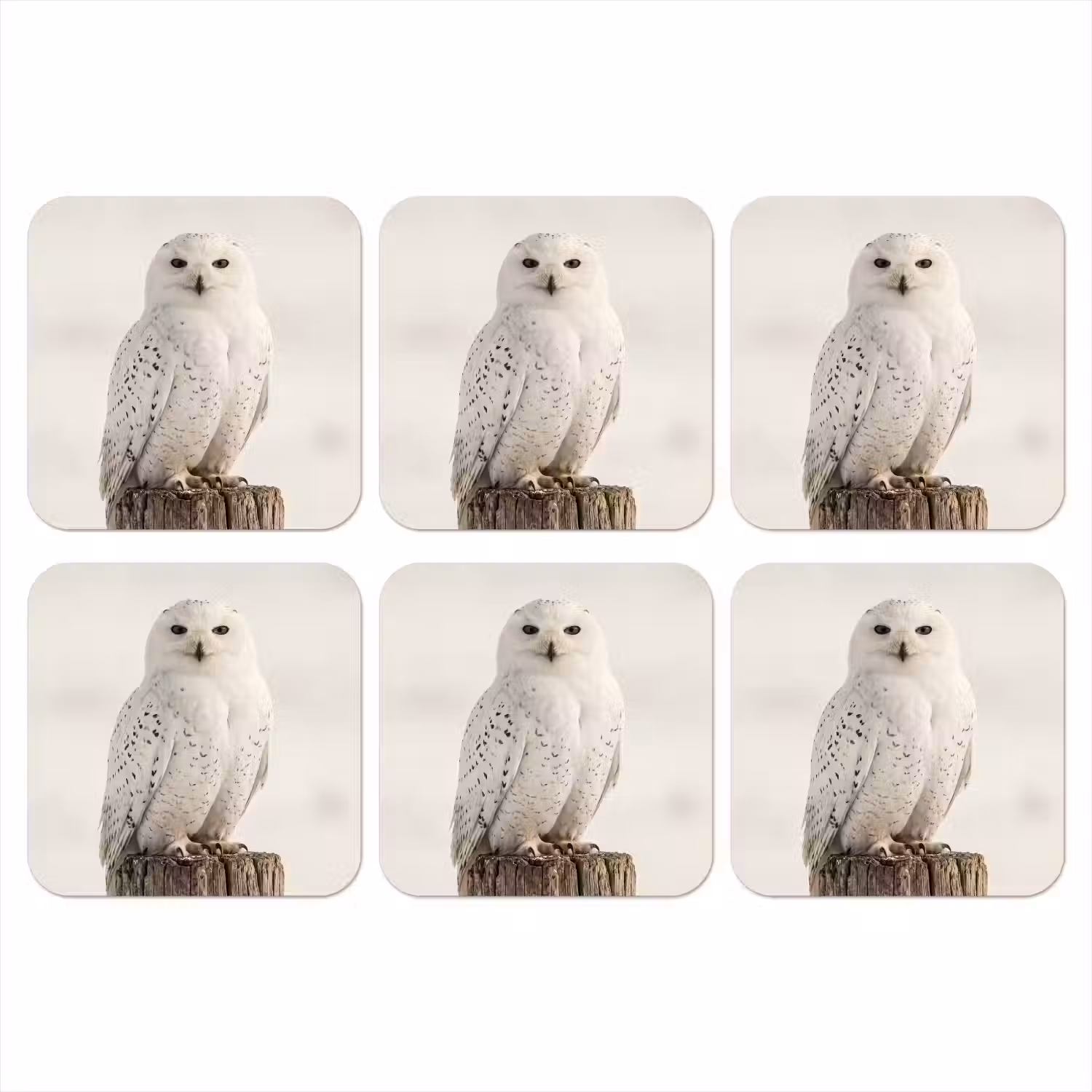 Sneeuwuil - Paal - Winter - Portret - Majestueus onderzetter kurk middel -3d