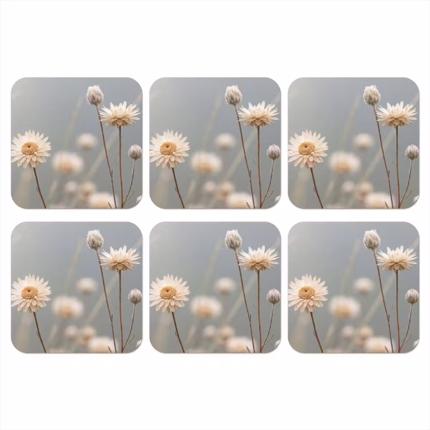 Strobloemen - Wit - Daglicht onderzetter kurk middel -3d