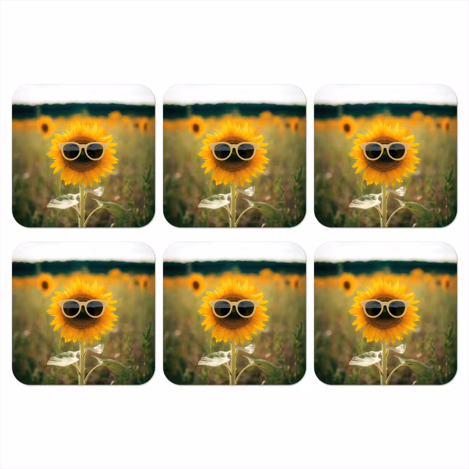 Zonnebloem - Veld - Zonnebril onderzetter kurk middel -3d