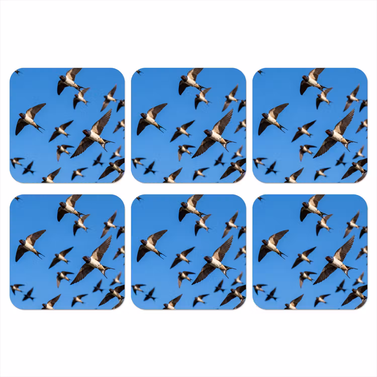 Zwaluwen - Vliegen - Blauw onderzetter kurk middel -3d