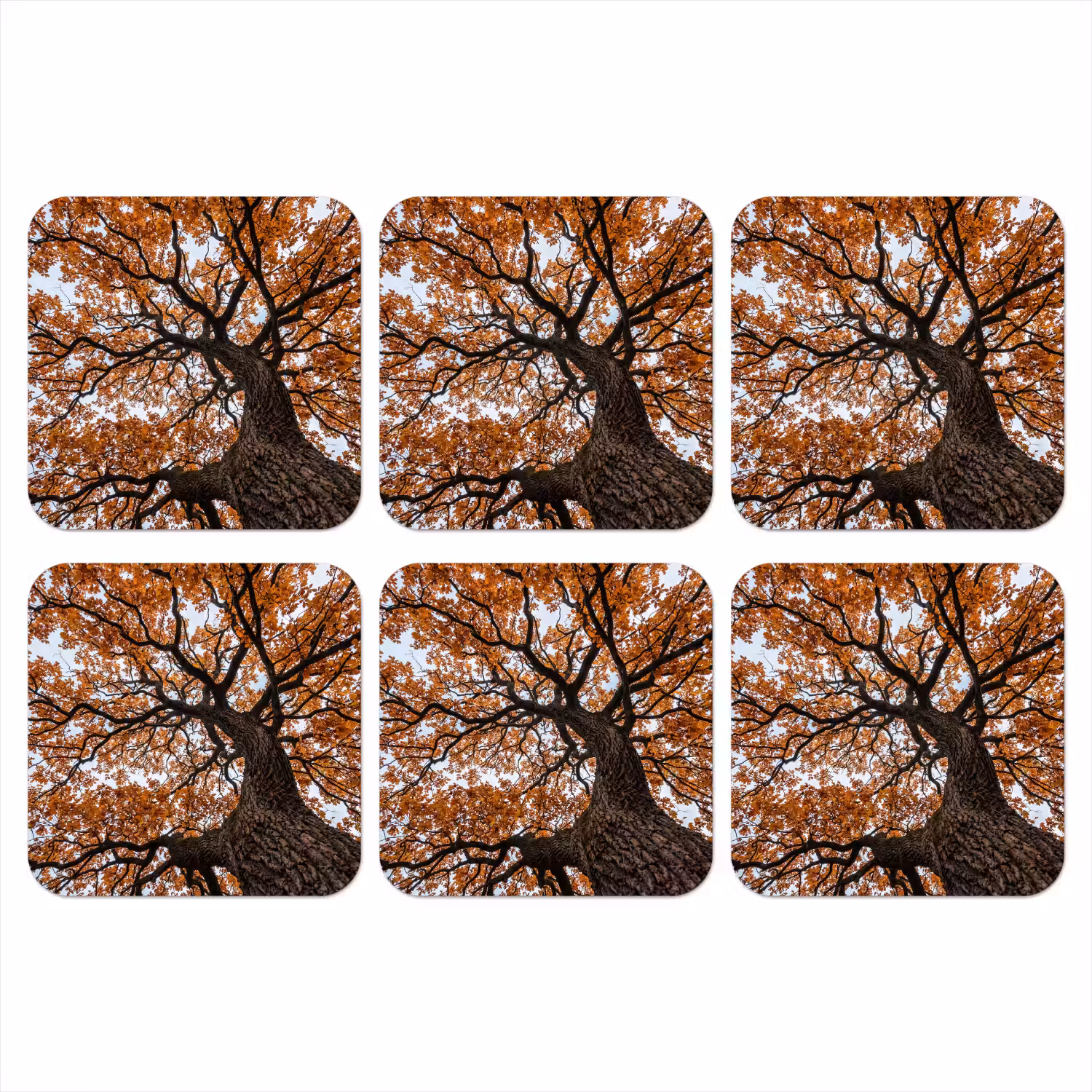 Boom - Bladerdak - Herfst - Oranje - Sfeervol onderzetter kurk middel -3d
