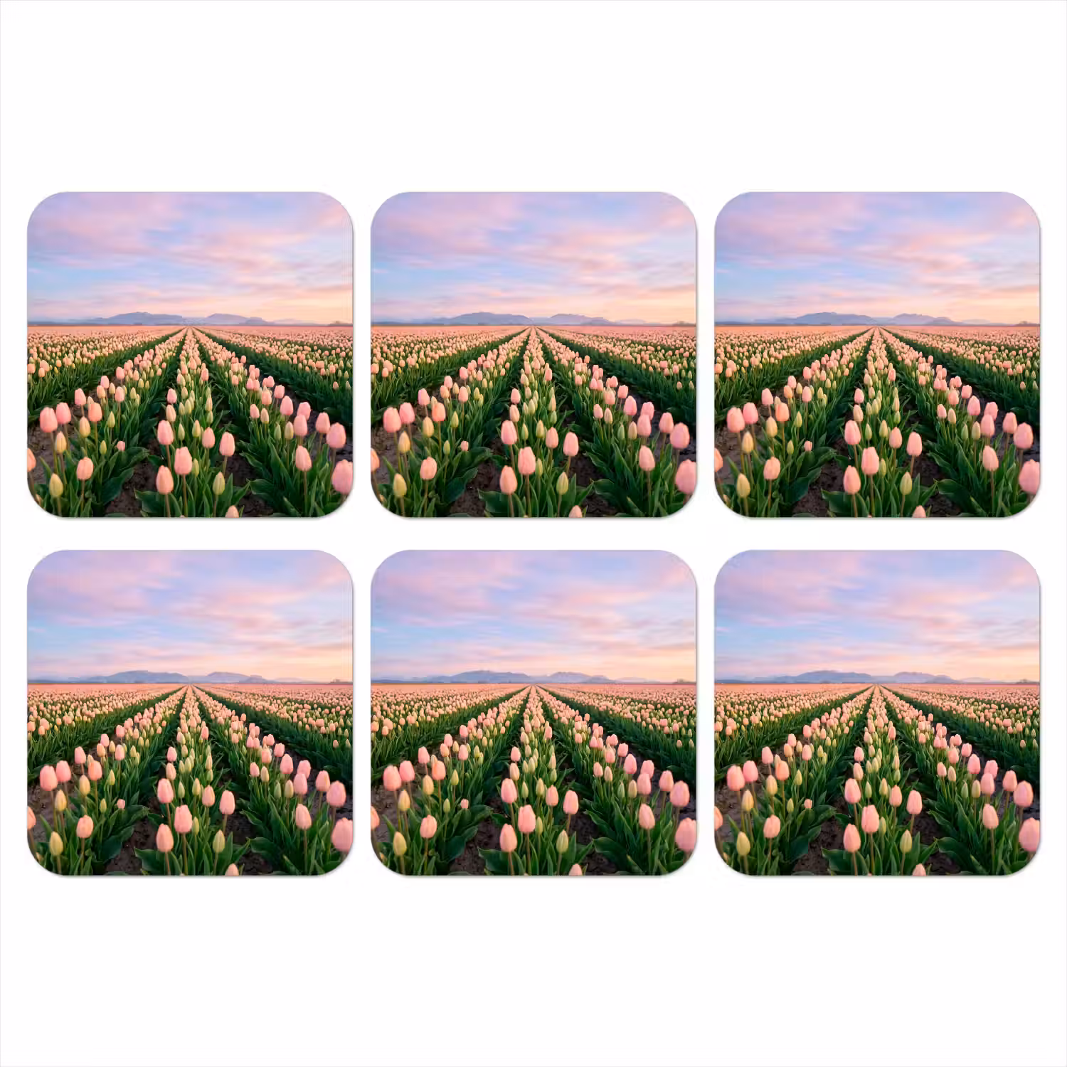 Tulpen - Landschap - Roze onderzetter kurk middel -3d