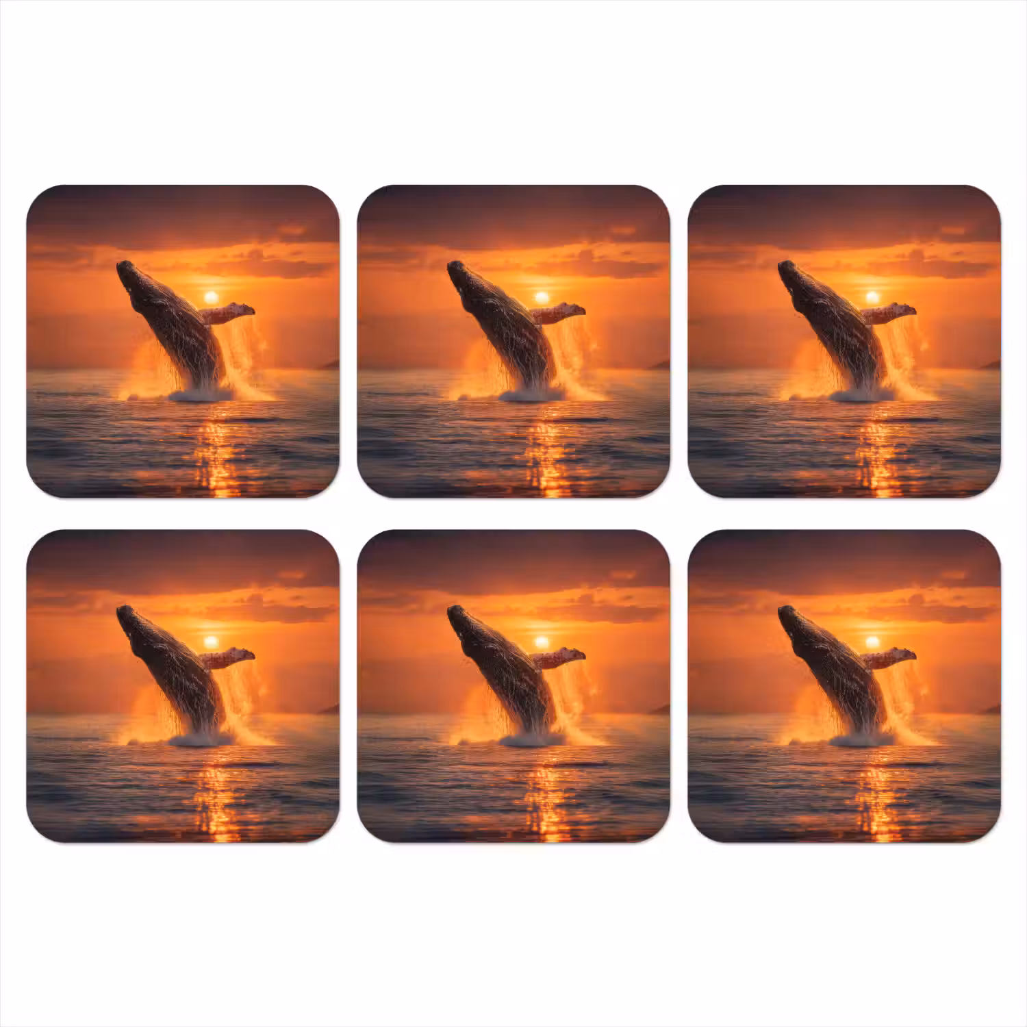 Walvis - Zon - Zee onderzetter kurk middel -3d