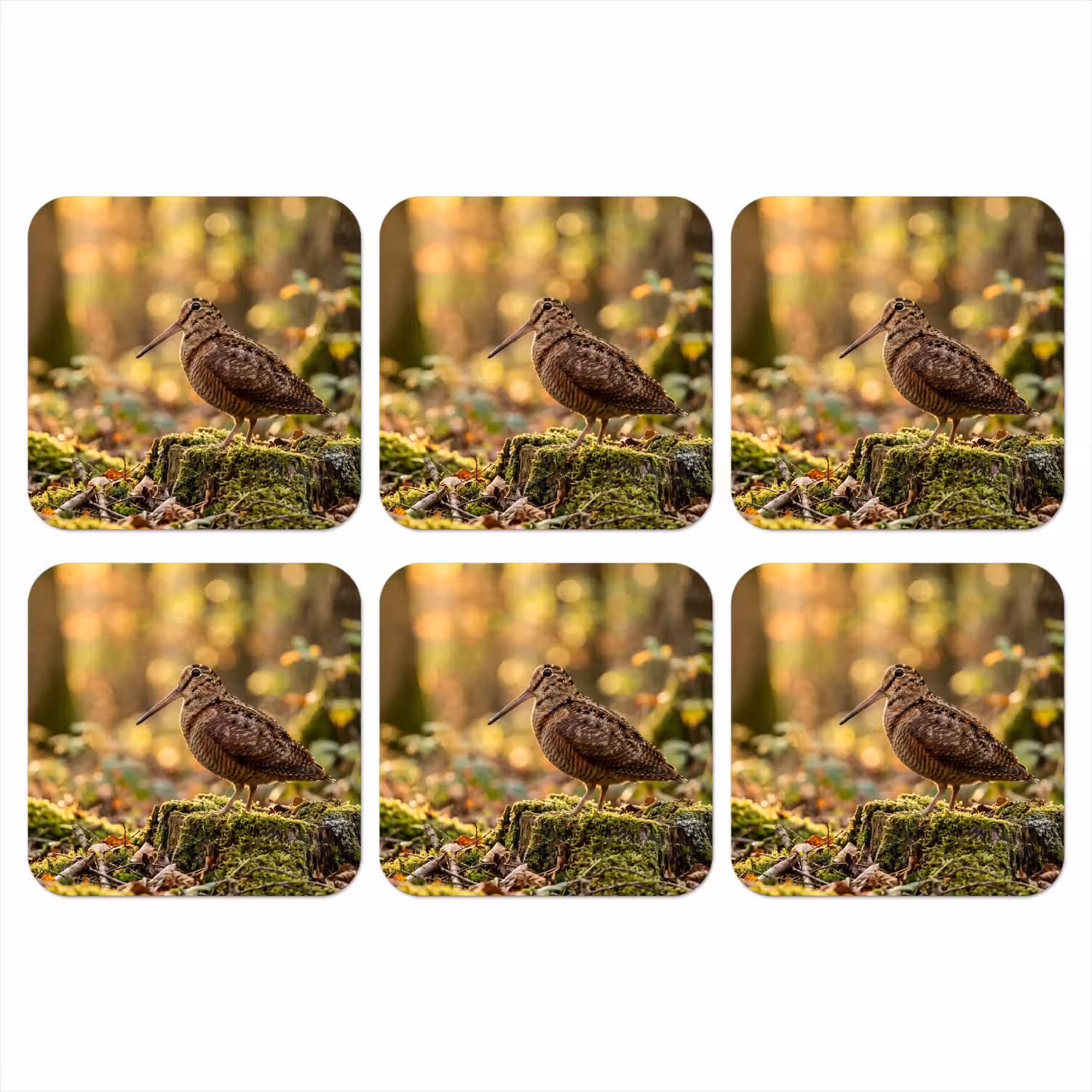 Houtsnip - Bos - Bladeren - Herfst - Gecamoufleerd onderzetter kurk middel -3d