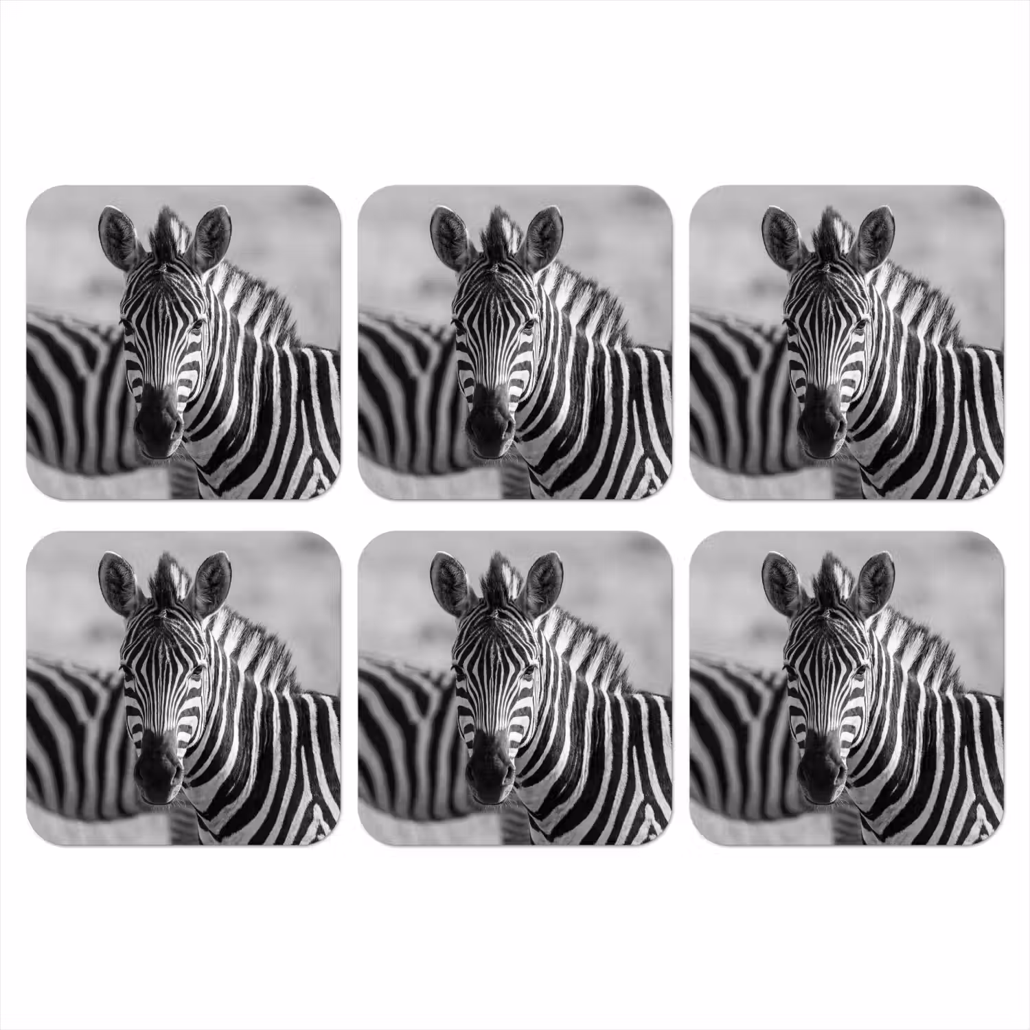 Zebra's - Zwart - Wit onderzetter kurk middel -3d