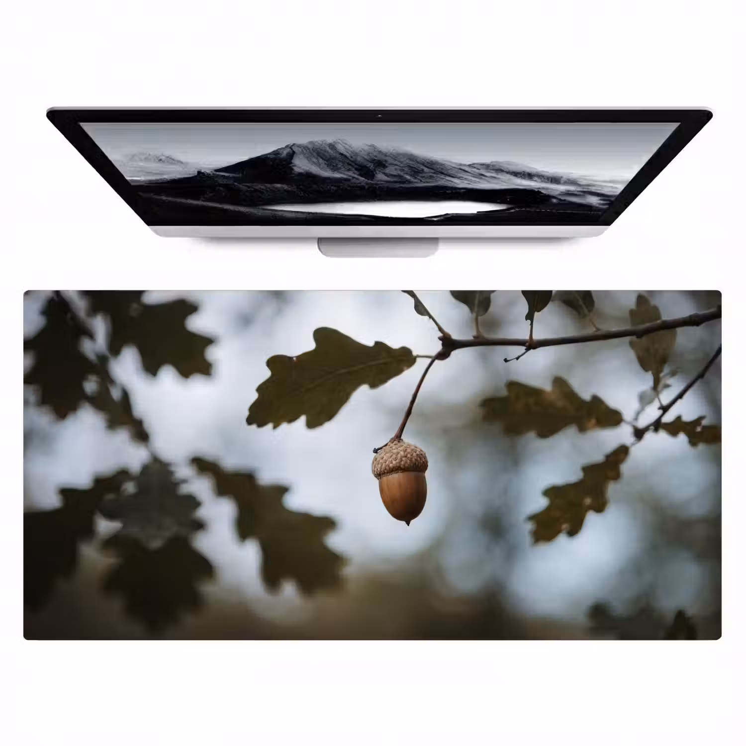 Eikel - Eikenblad - Bos - Herfst - Natuur Muismat XXL klein -zzz3d