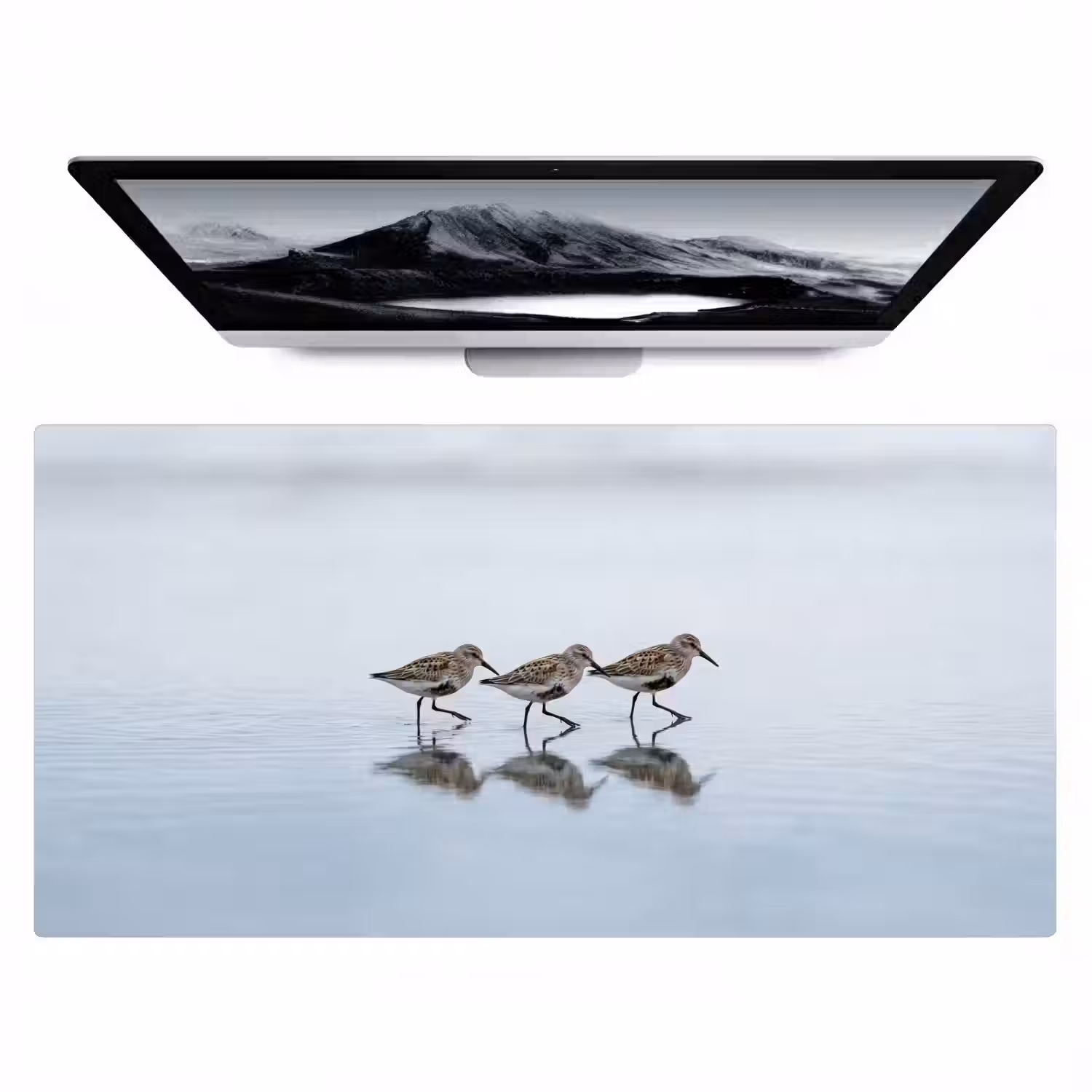 Vogels - Water - Grijs Muismat XXL klein -zzz3d