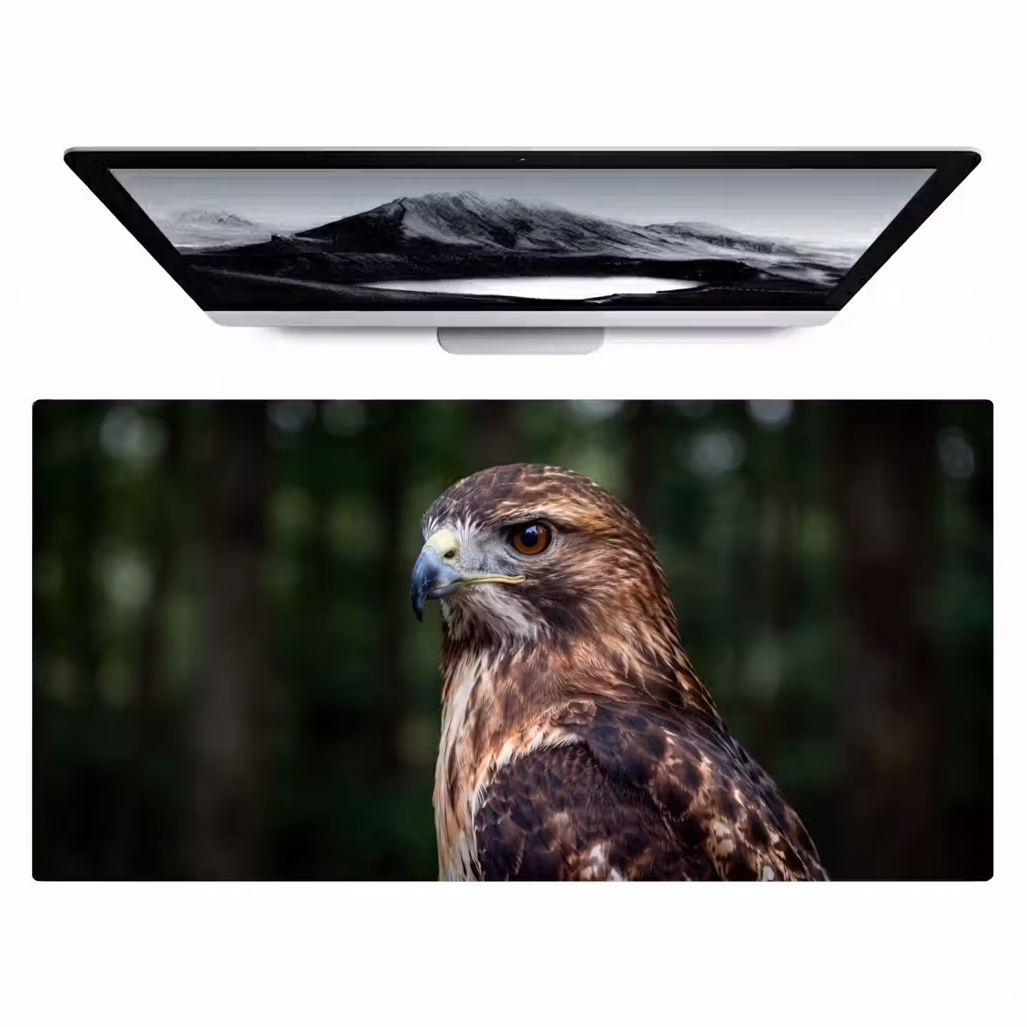 Buizerd - Roofvogel - Natuur - Bruin Muismat XXL klein -zzz3d