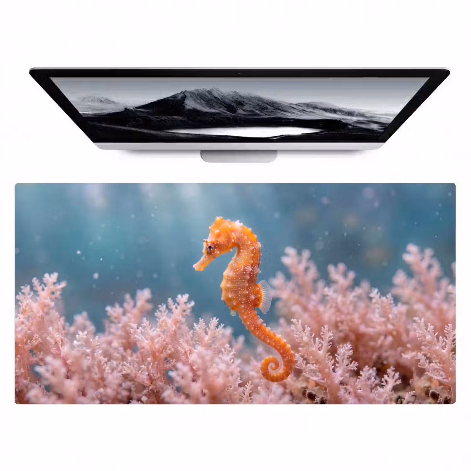 Vis - Koraal - Oceaan - Macro - Oranje Muismat XXL klein -zzz3d