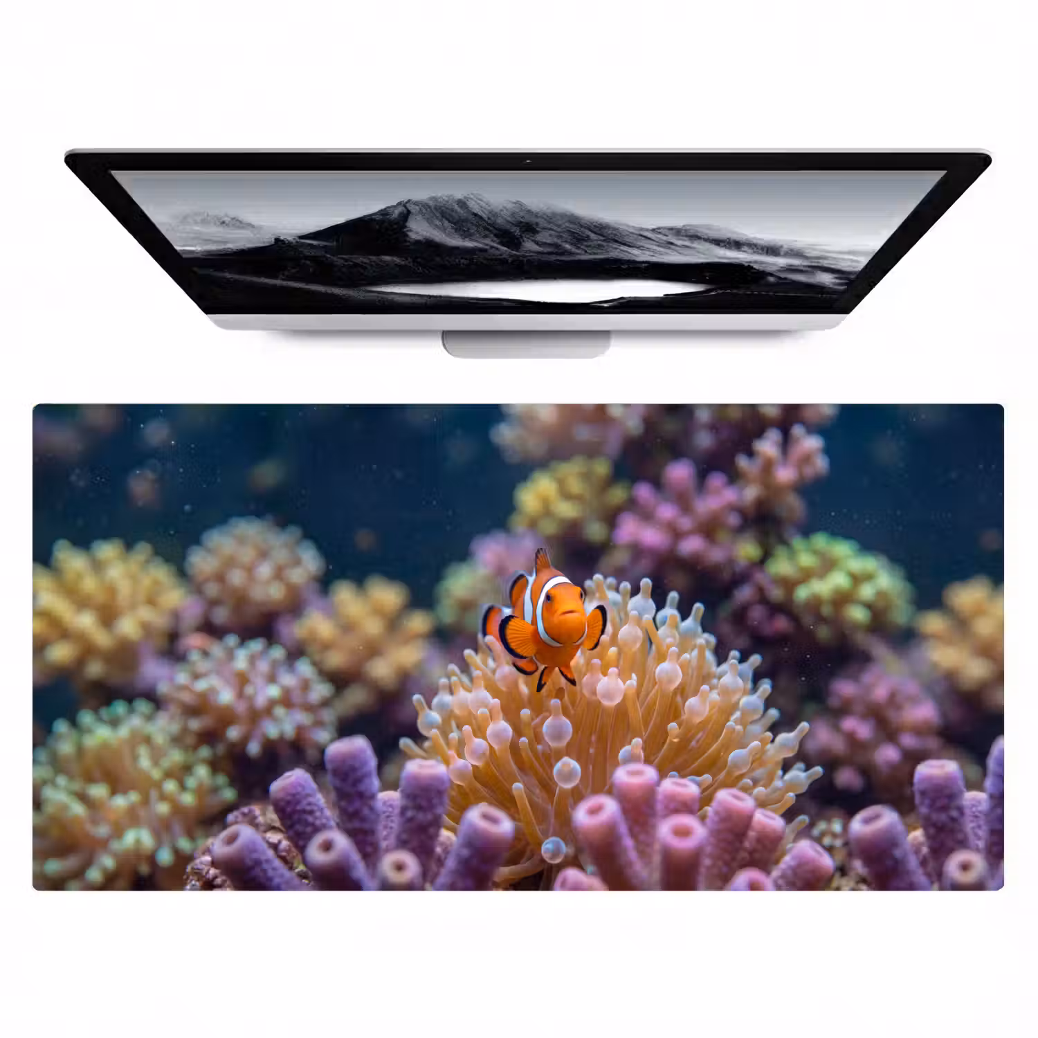 Vis - Koraal - Onderwater - Oranje - Dieren Muismat XXL klein -zzz3d