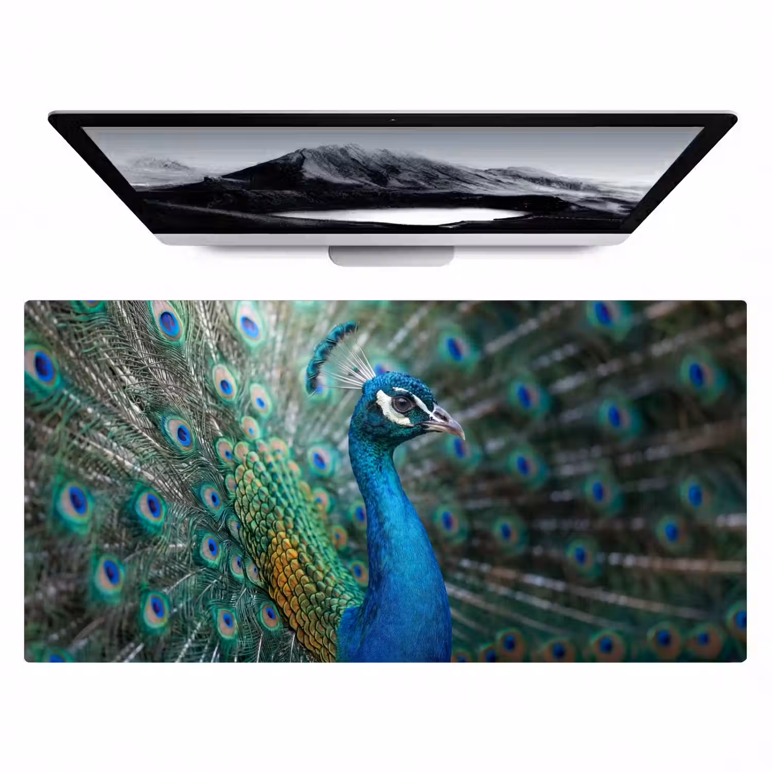 Pauw - Veren - Blauw Muismat XXL klein -zzz3d