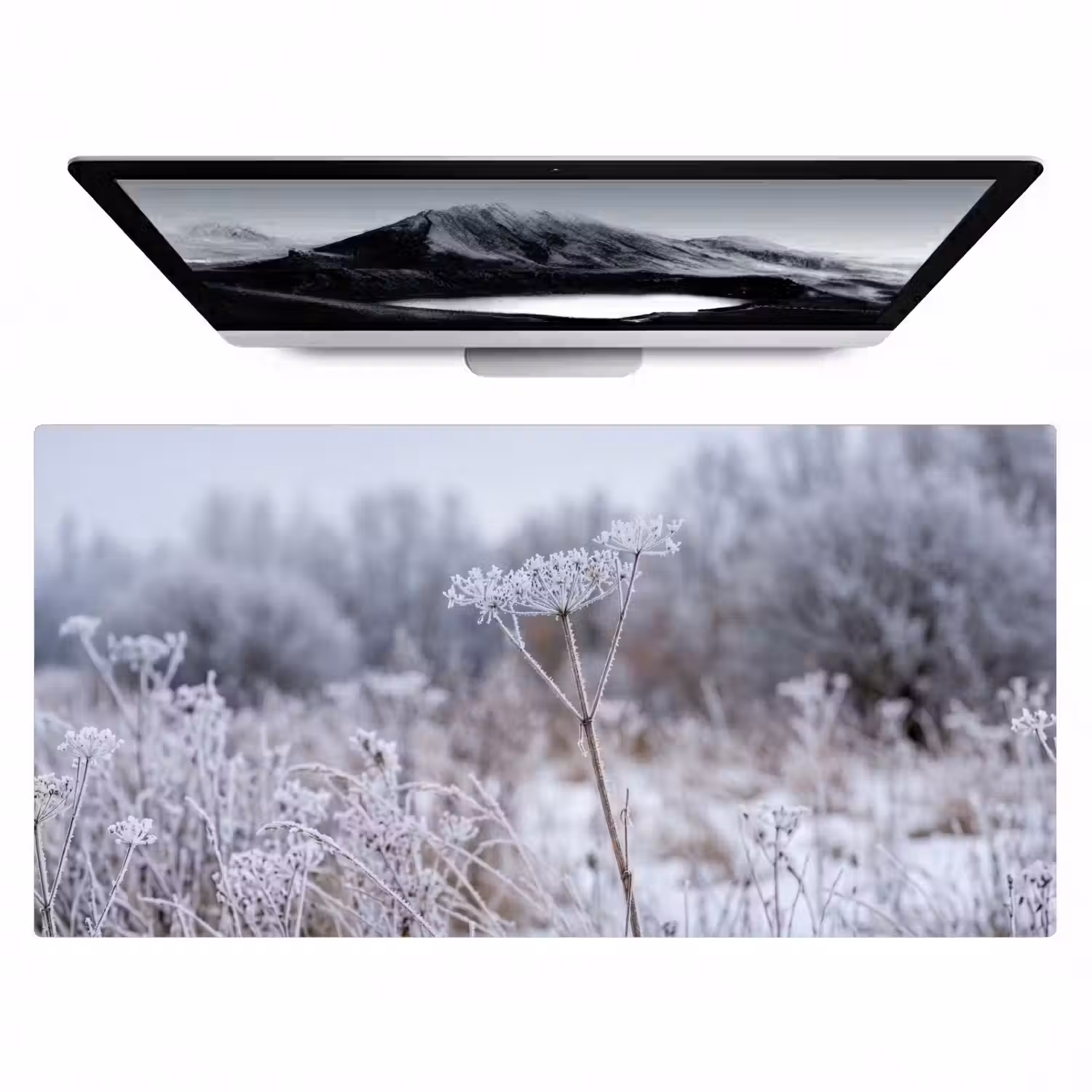 Schermbloem - Rijp - Kristallen - Winter - Delicaat Muismat XXL klein -zzz3d
