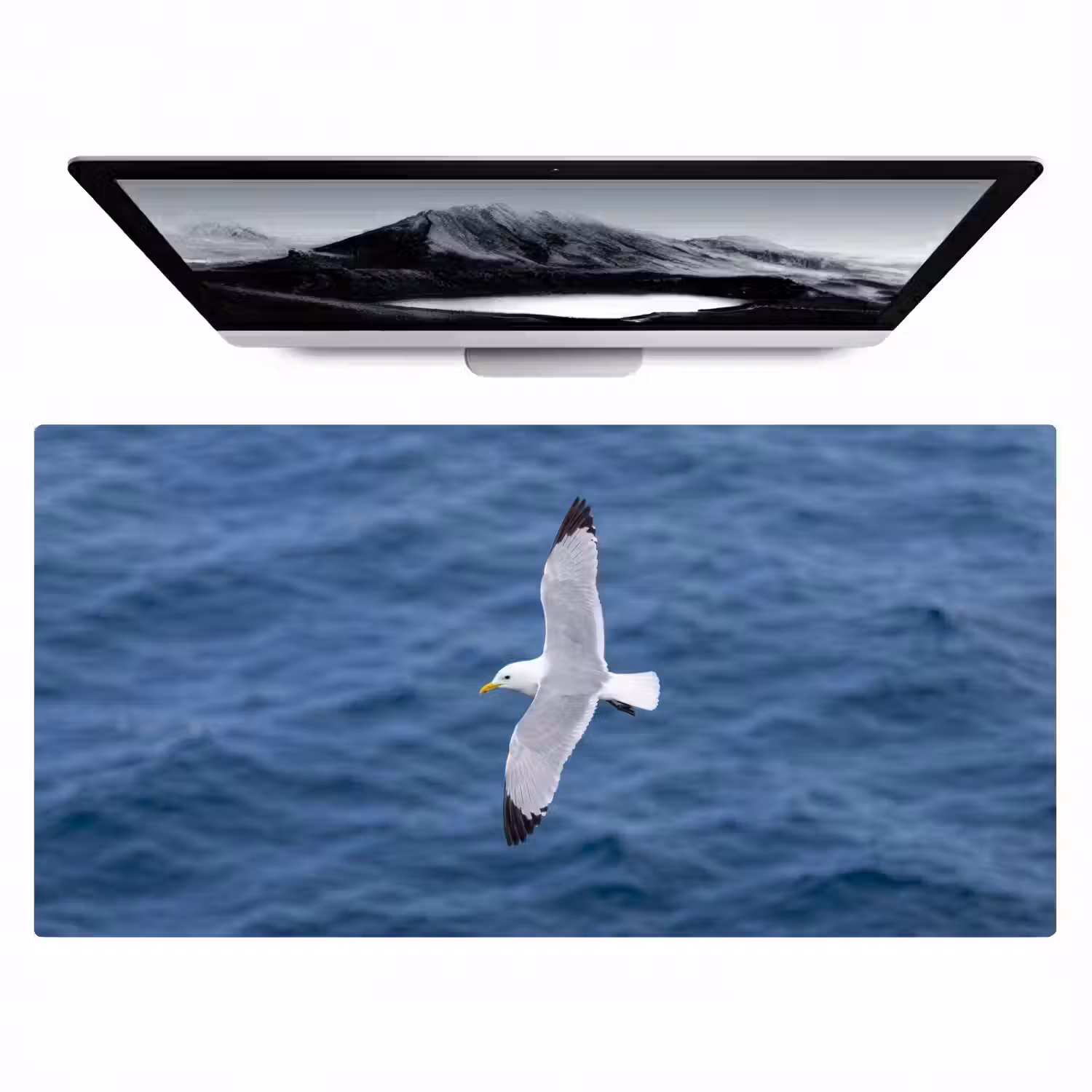 Zeemeeuw - Oceaan - Blauw Muismat XXL klein -zzz3d
