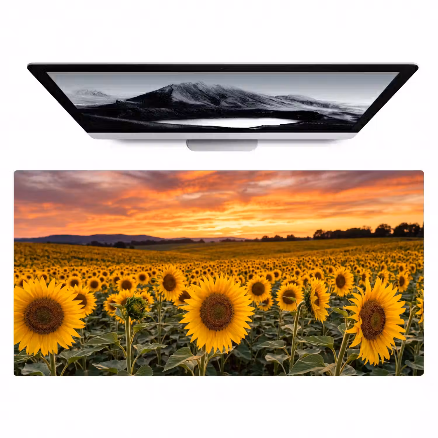 Zonnebloemen - Heuvellandschap - Geel Muismat XXL klein -zzz3d