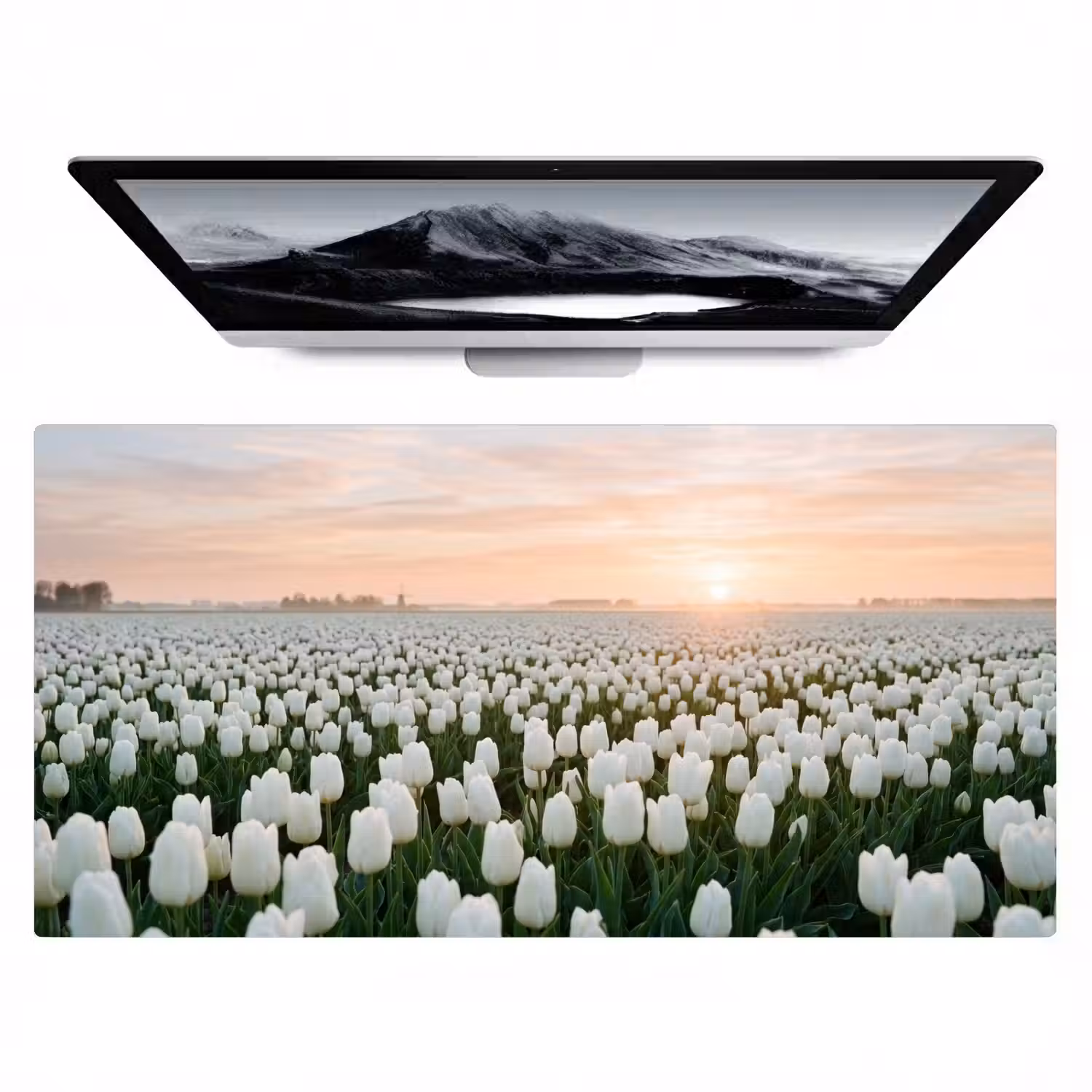 Tulpen - Landschap - Wit Muismat XXL klein -zzz3d