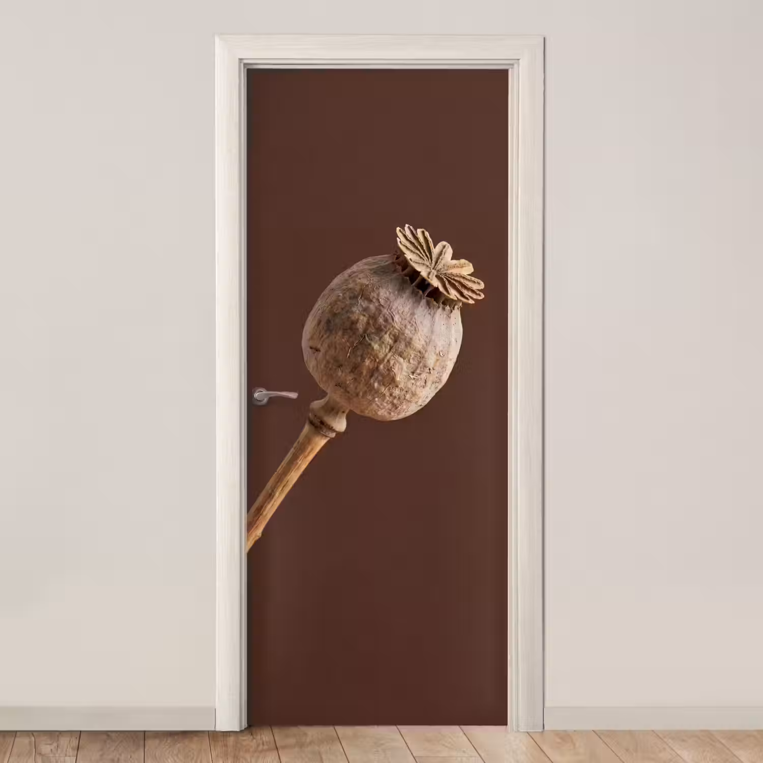 Papaverbol - Droogbloem - Bruin - Minimalistisch deurposter klein -3d_beige