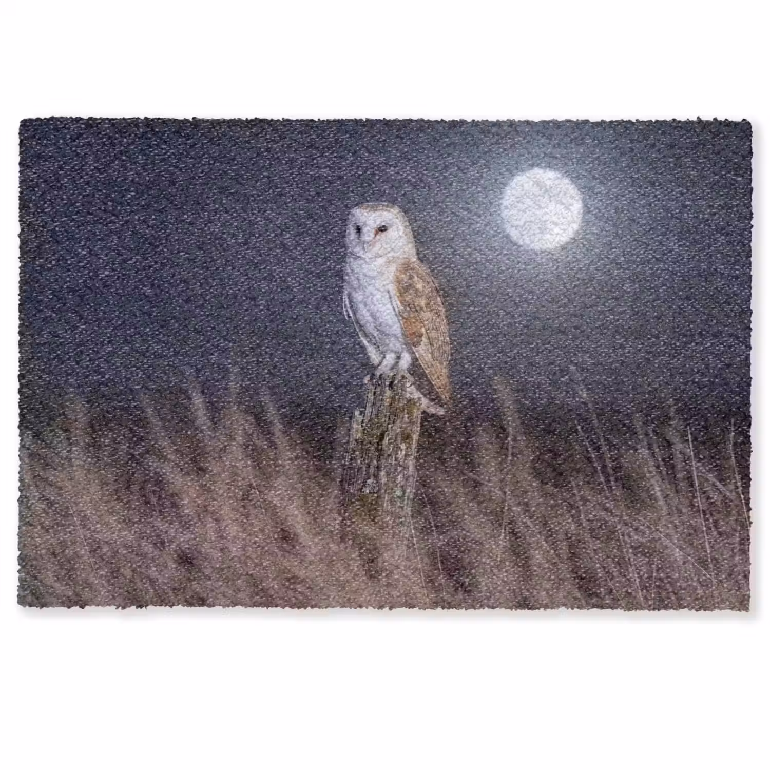 Kerkuil - Maan - Nacht Deurmat klein -zkaufland3d