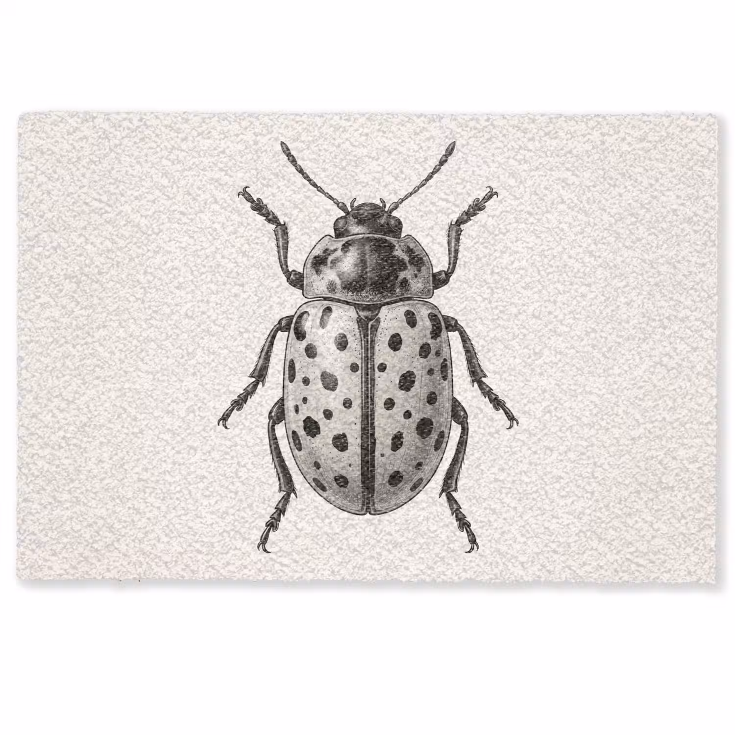 Kever - Insect - Vintage Deurmat klein -zkaufland3d